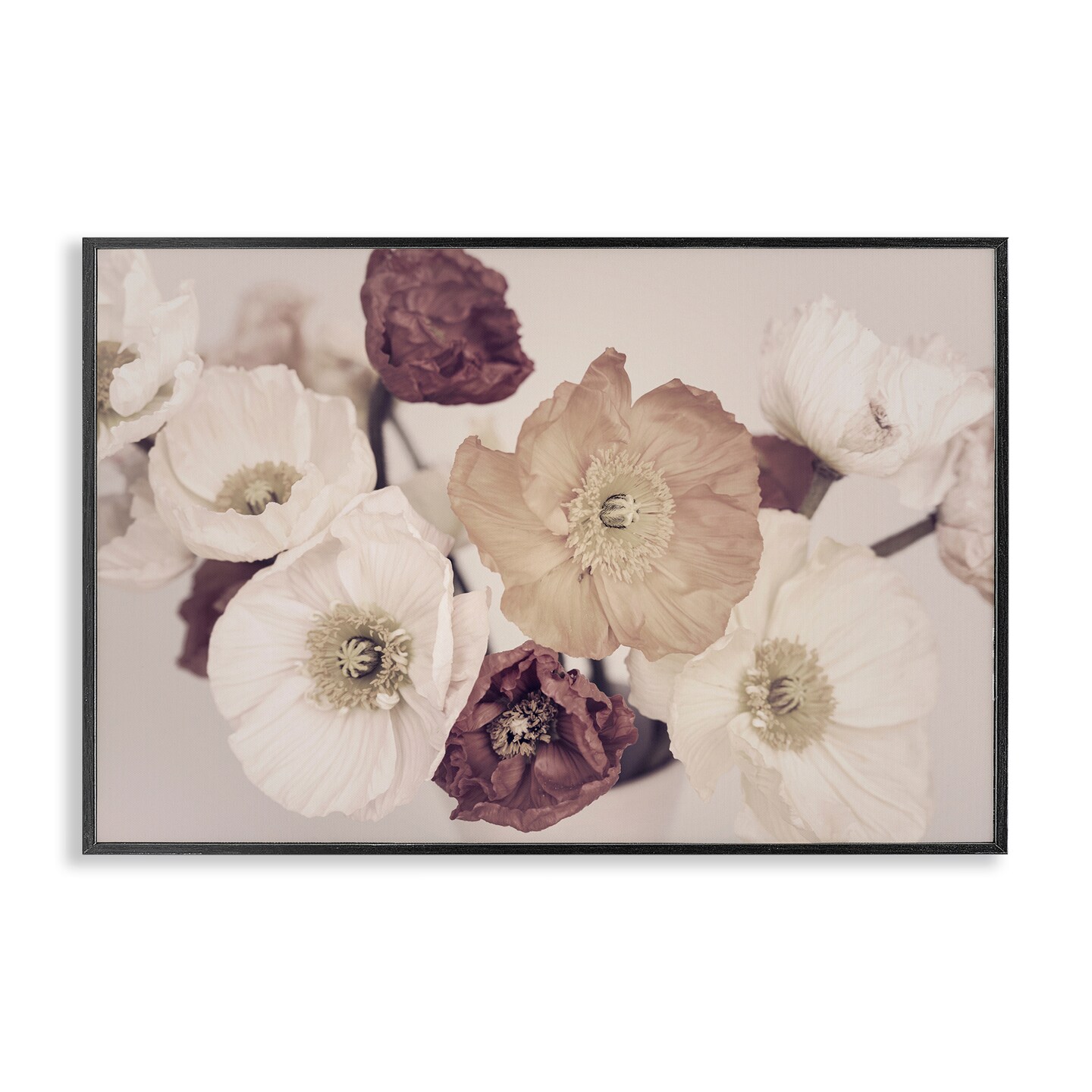 Stupell Industries Open Blooms Maroon Florals Framed Giclee, design by Sisi and Seb