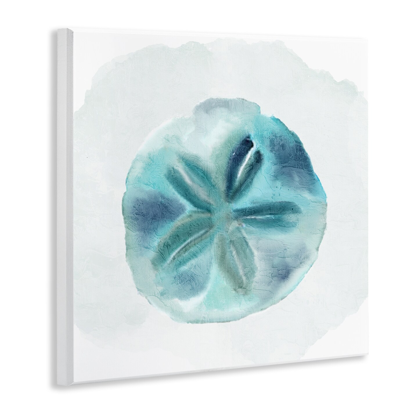Stupell Industries Beachy Blue Sand Dollar Wall Plaque Design By Kim Allen