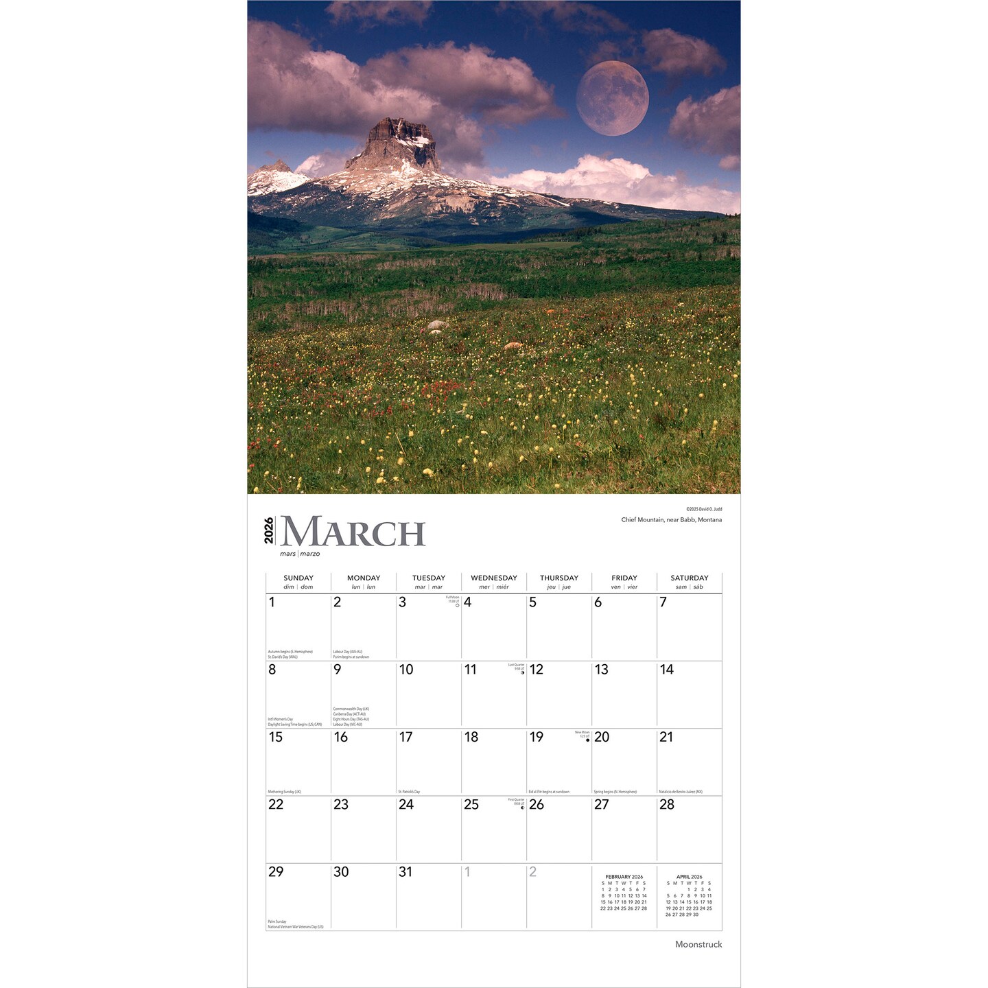 Moonstruck | 2026 12 x 24 Inch (Hanging) Monthly Square Wall Calendar | Foil Stamped Cover | Plastic-Free