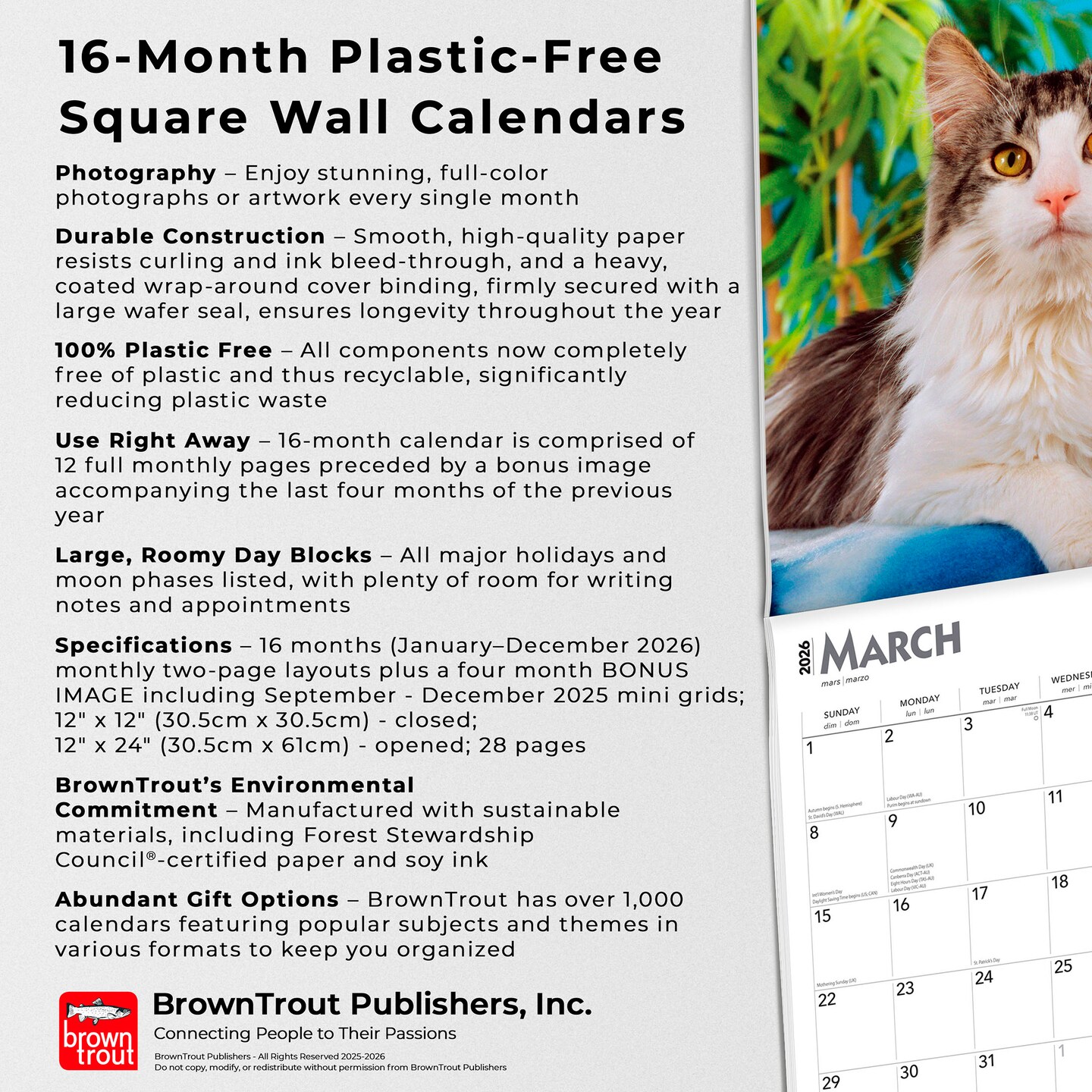 Maine Coon Cats | 2026 12 x 24 Inch (Hanging) Monthly Square Wall Calendar | Plastic-Free
