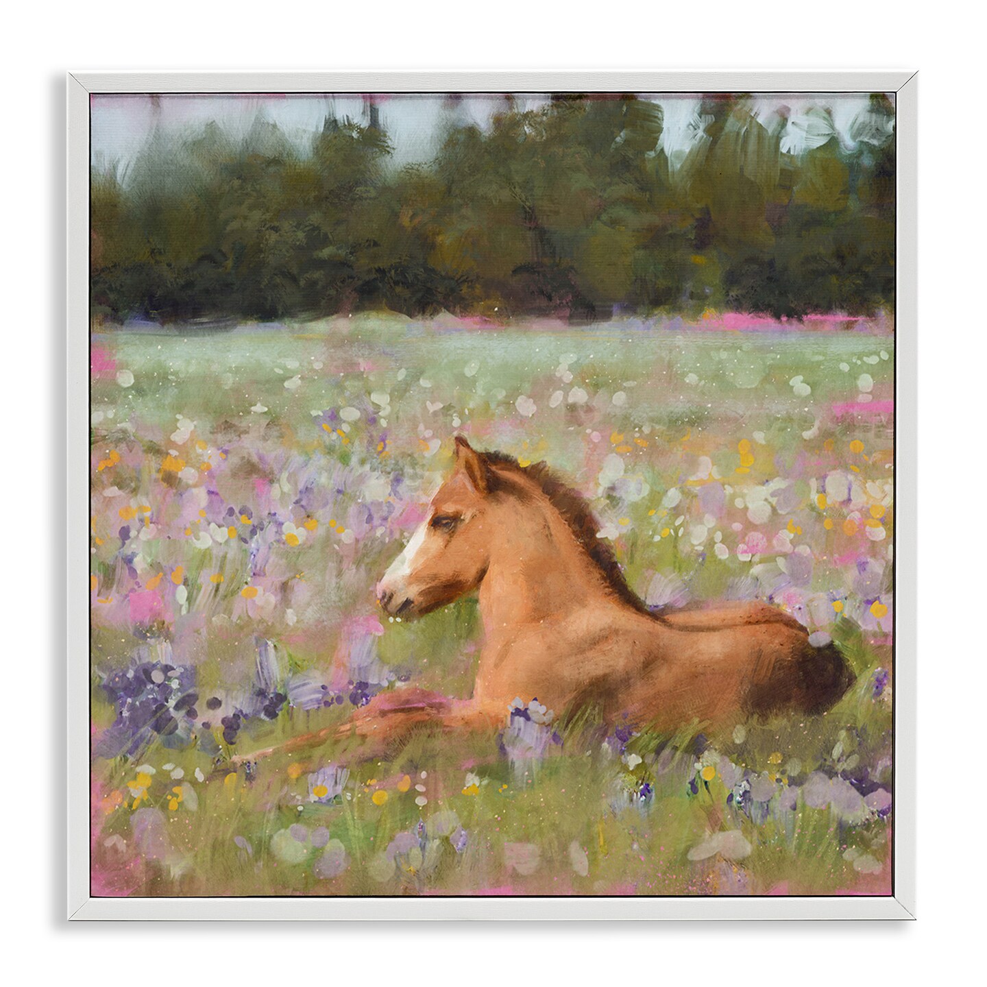 Stupell Industries Foal Horse Lounging Flower Meadow Framed Giclee Art