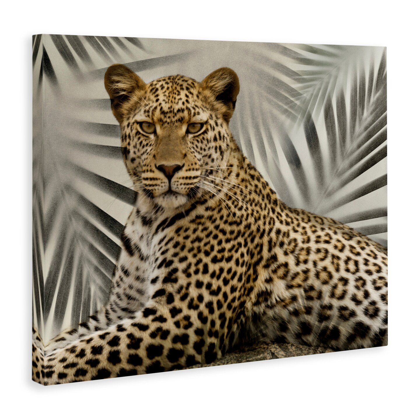 Stupell Industries Leopard with Palm Fronds Canvas Wall Art