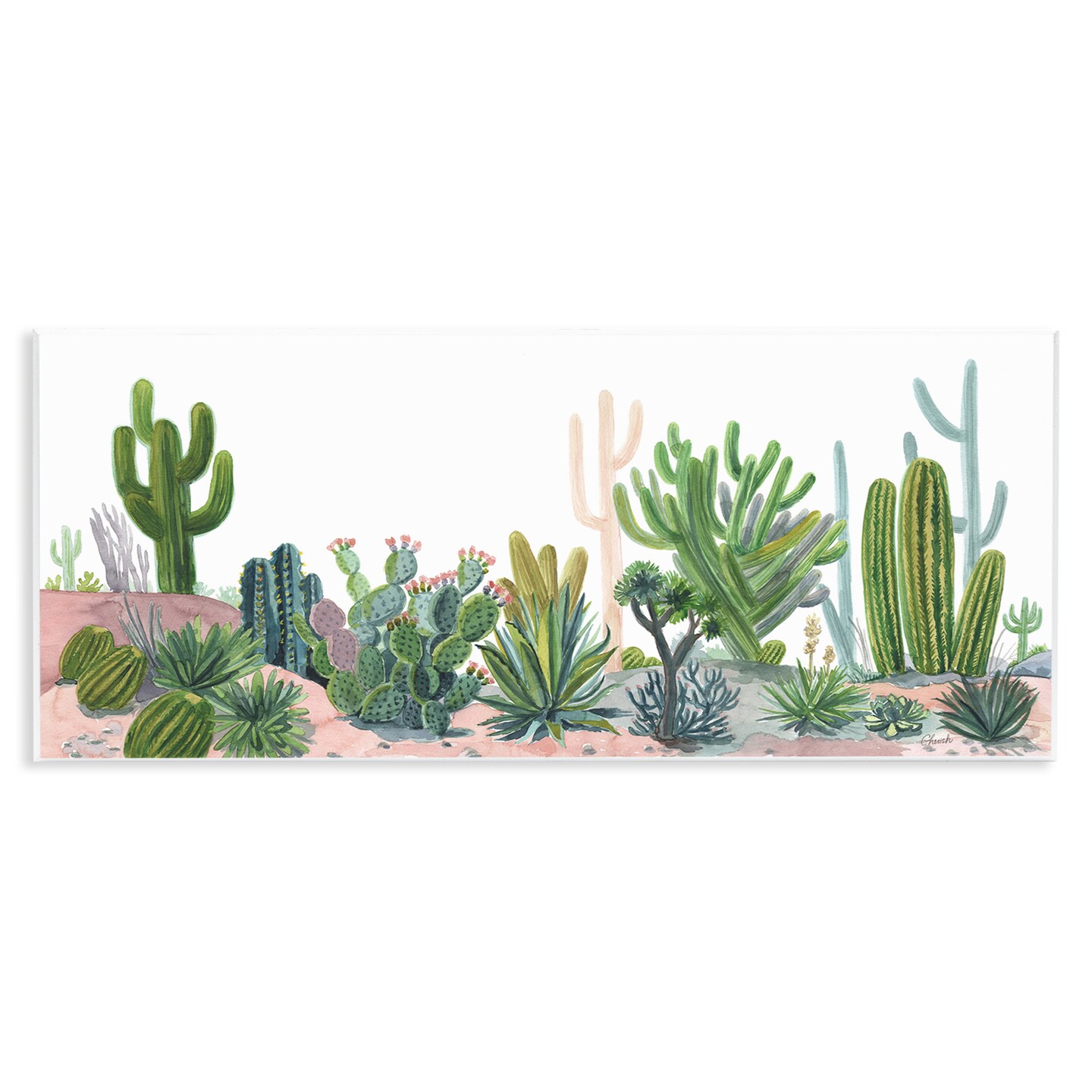 Stupell Industries Varied Desert Vegetation Cacti Wall Plaque Art