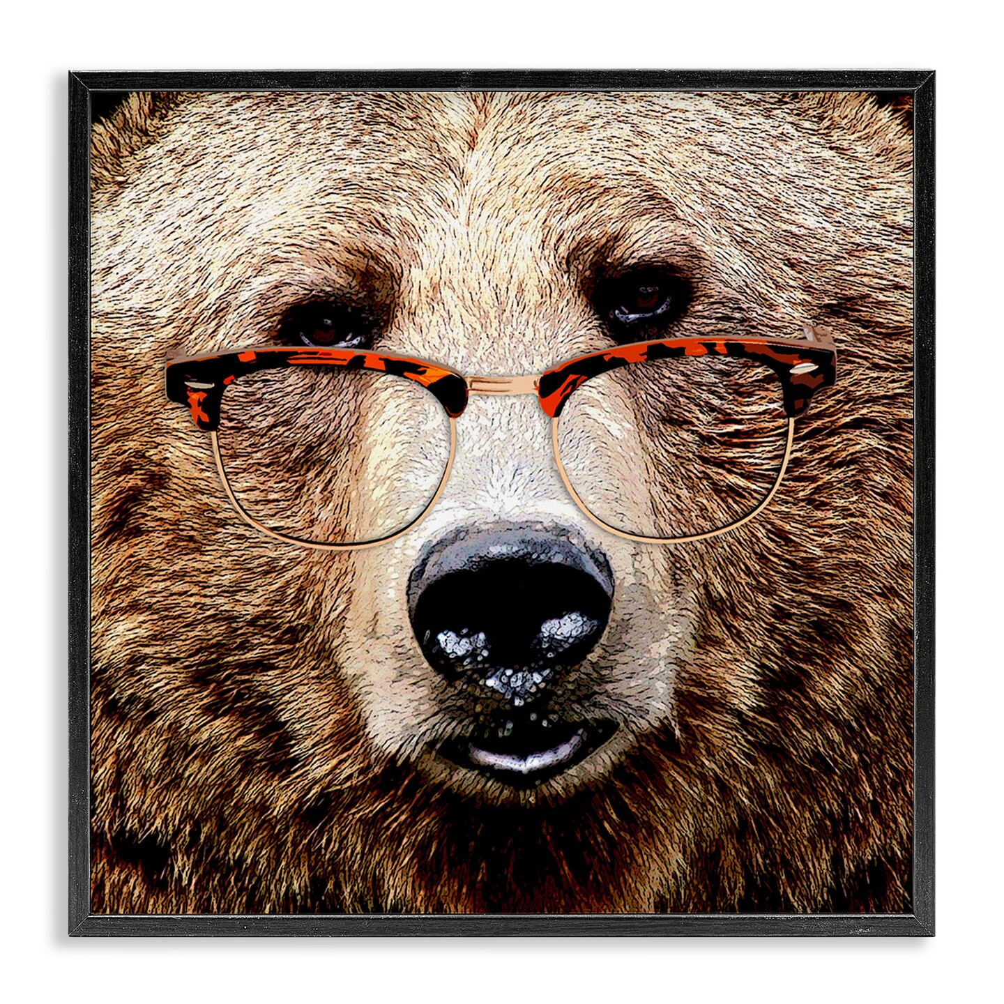 Stupell Industries Grizzly Bear with Glasses Framed Giclee Art