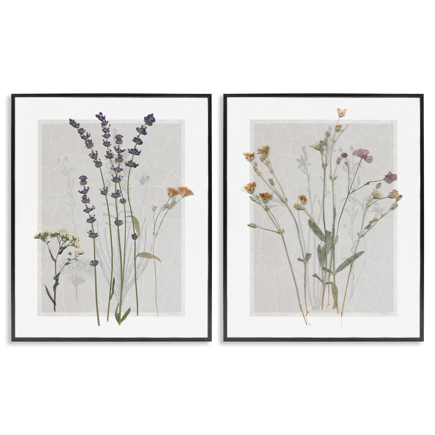 Stupell Industries Delicate Wildflower Herb Sprigs Framed Giclee Art
