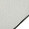 Colorplan POWDER GREEN - 12.5&#x22; x 19&#x22; - 100 Lb. / 270 Gsm Matte Premium Cardstock Paper Cover Sheet - 50 Sheets