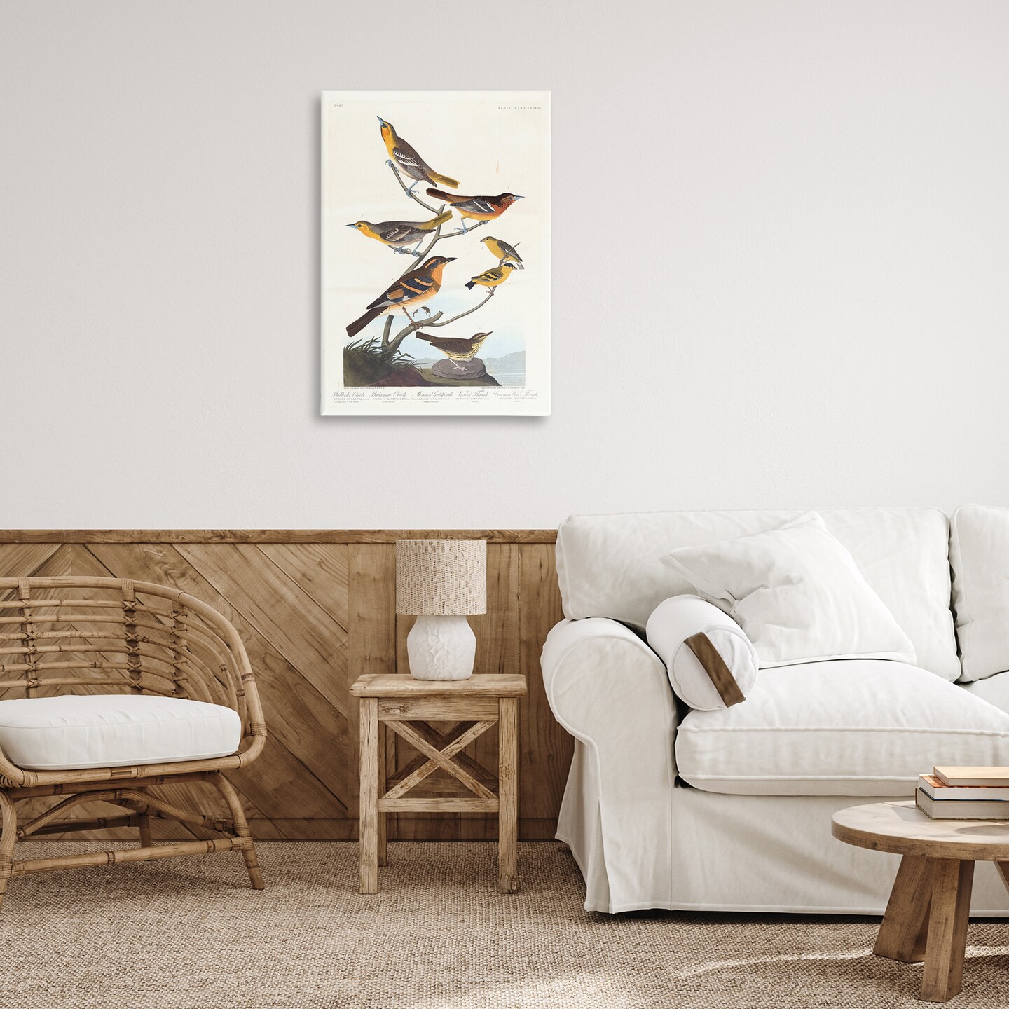 Stupell Industries Classic Bullock&#x27;s Oriole Study Canvas Wall Art Design by one1000paintings