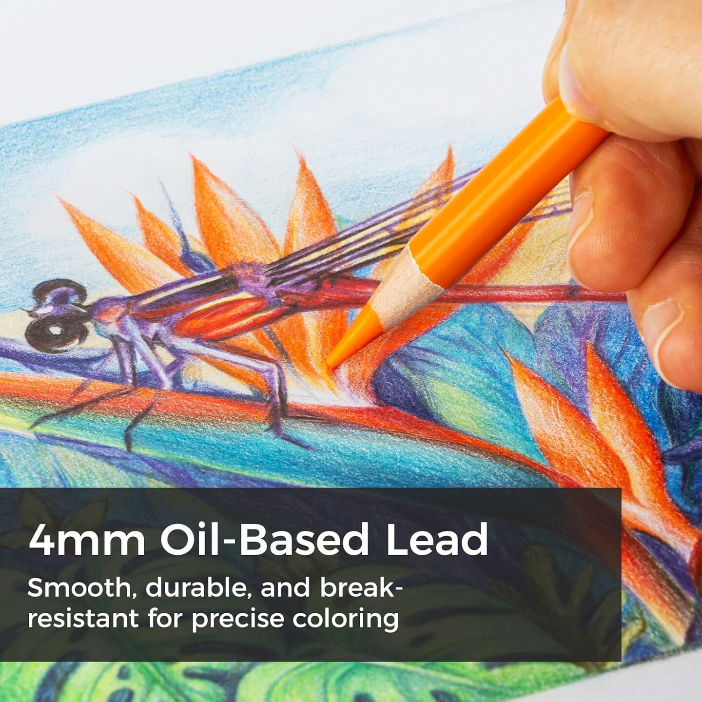 Ohuhu Colored Pencils 72-color: Oil-based Drawing Pencils for Coloring Portrait Sketching Landscape, Durable Soft Core, Professional Color Pencils 72 Pack for Artist, Adult &#x26; Beginners, Halawa Series