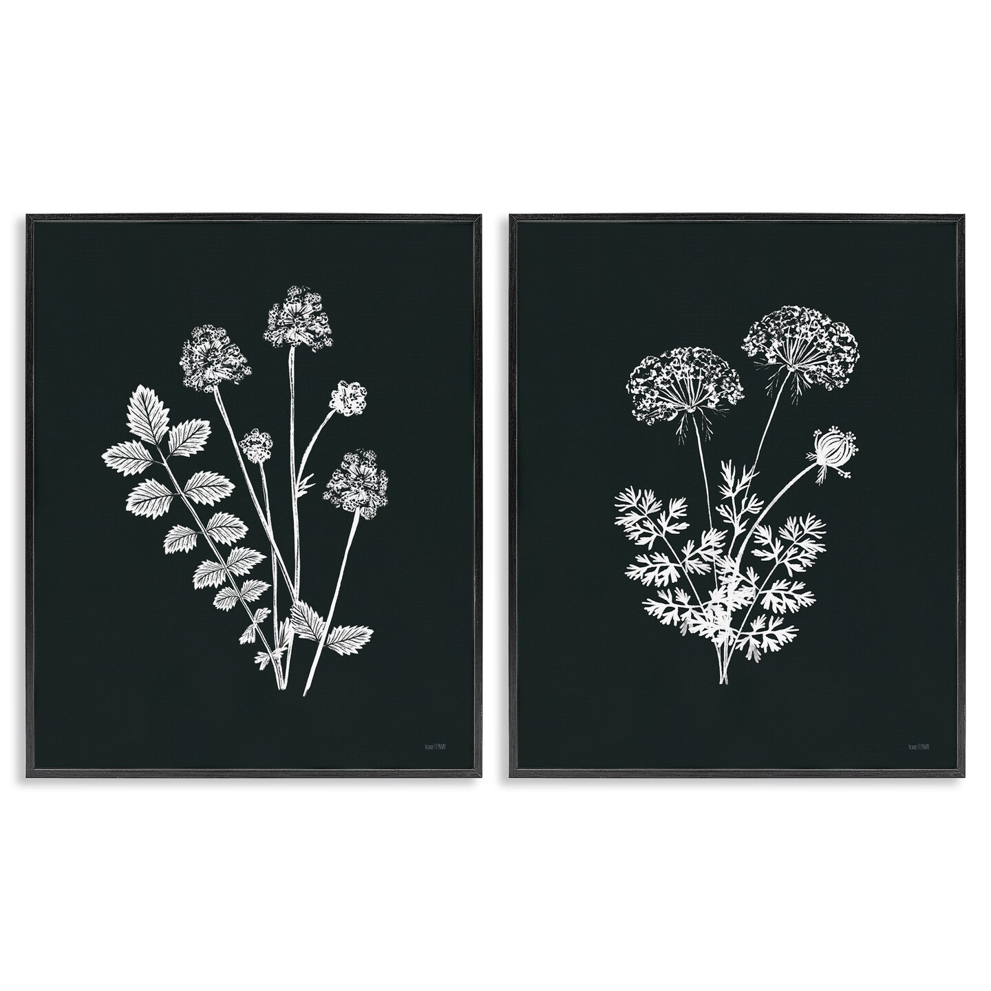 Stupell Industries Black and White Flower Cluster 2 pc Framed Giclee Wall Art Set Design by House Fenway