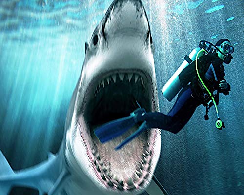 6&#x22; Round ~ Shark Attacking Scuba Diver Birthday ~ Edible Cake/Cupcake Topper!!!