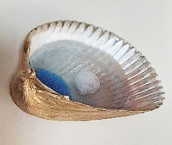 How-To name is Ring holder made with a natural shell