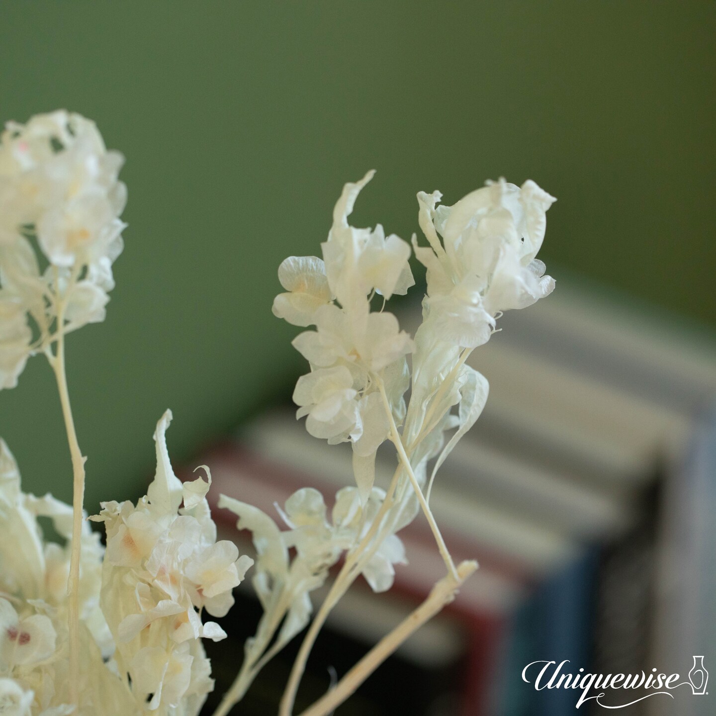 Uniquewise Preserved Real Floral Stems Chic Vase Fillers &#x26; Accents for Bouquets Centerpieces &#x26; Ornamental Displays Ideal for Home Office Boutique Cafe Resto Bar and Event Decor