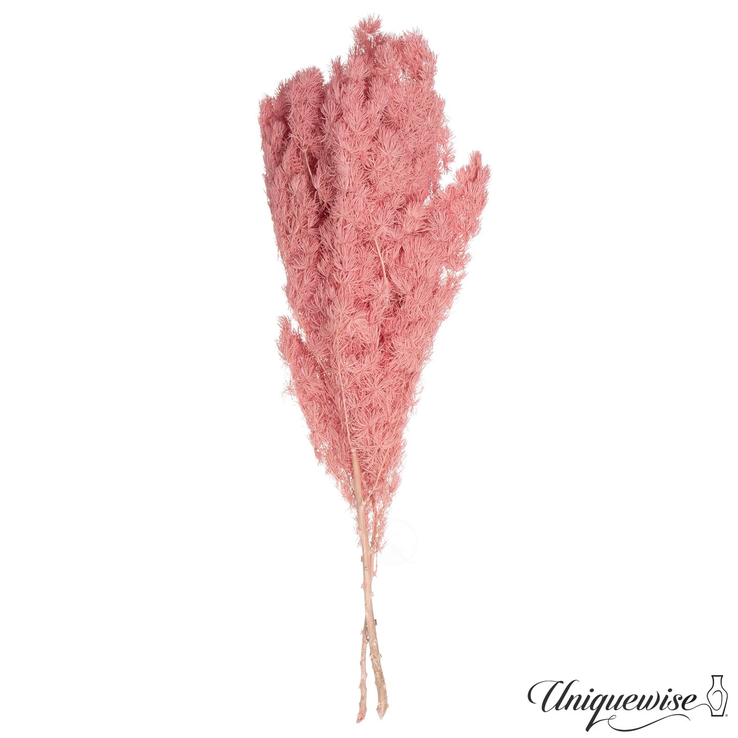 Uniquewise Preserved Real Floral Stems Chic Vase Fillers & Accents for Bouquets Centerpieces & Ornamental Displays Ideal for Home Office Boutique Cafe Resto Bar and Event Decor