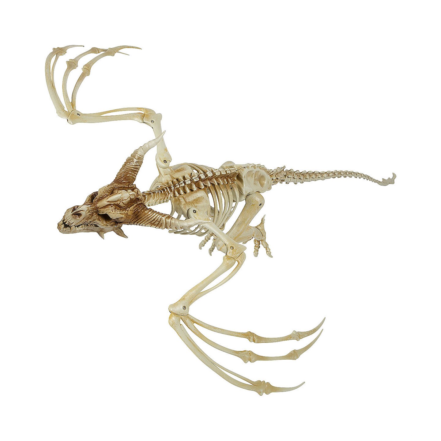 Pterosaur Skeleton Plastic Hanging Halloween Decoration 35 1/4 x 11 3/4