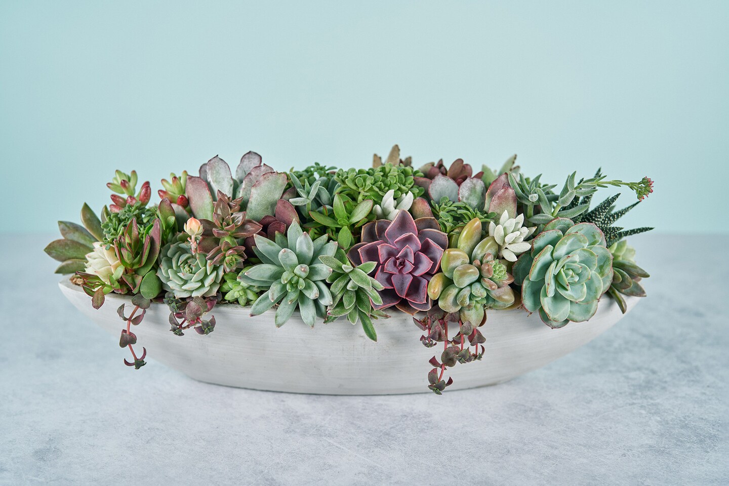 outdoor plant pots large Tall Outdoor Planters
