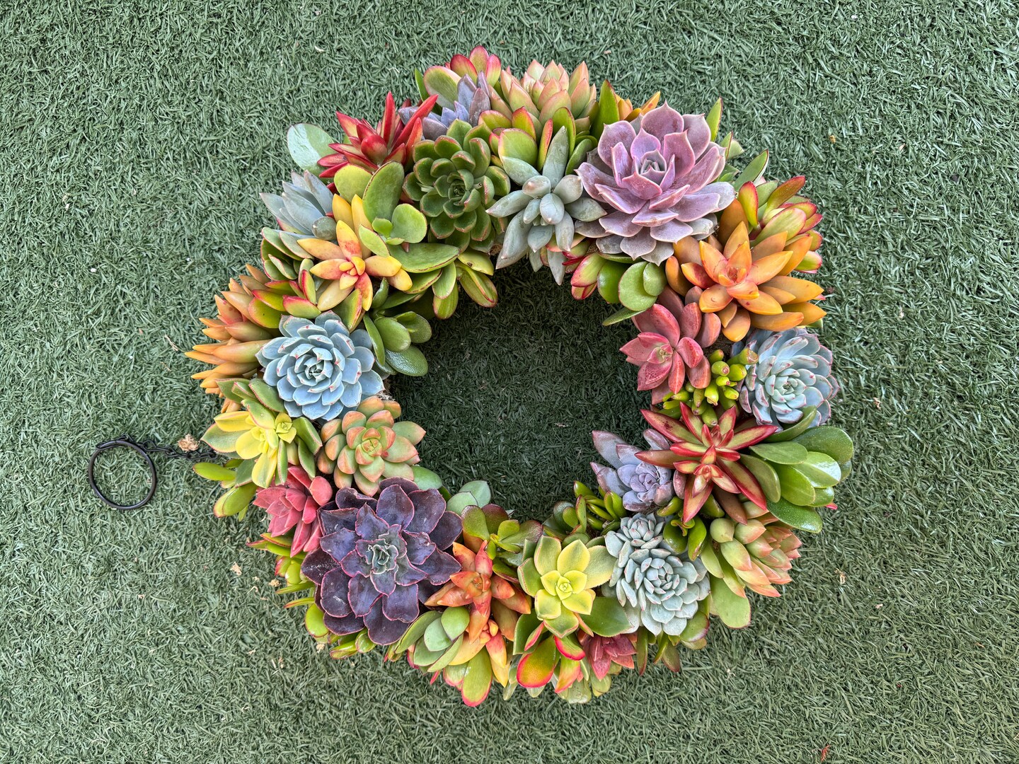 Succulent Wreath Trimmed with Living Colorful Succulents for Front Door  Entry, Fall Home Decorating, Succulent Gift | MakerPlace by Michaels