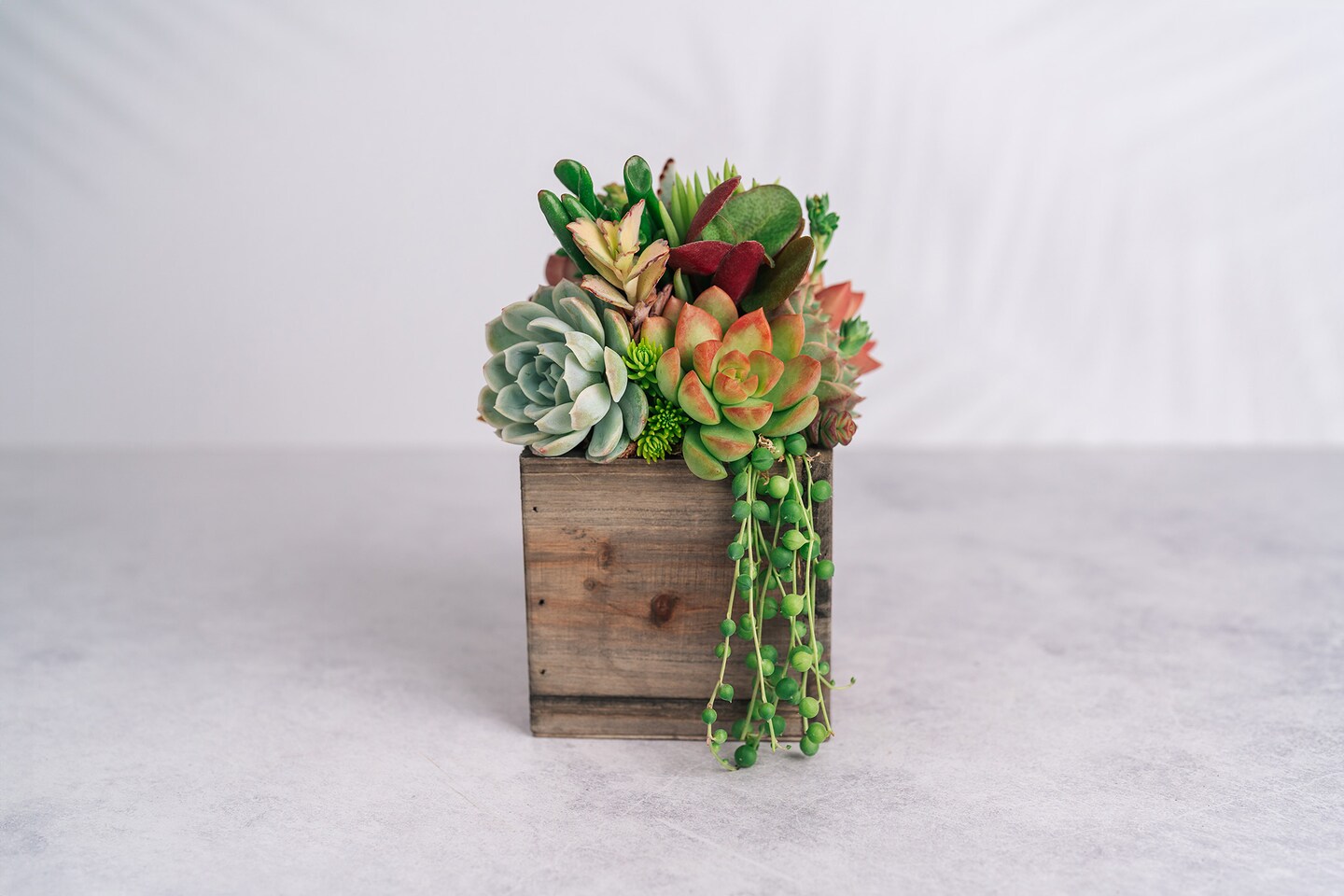 Small Wood Rustic Succulent Arrangement Planter: Living Succulent Gift or  Centerpiece for Weddings and Events | MakerPlace by Michaels