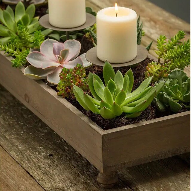 Rustic Wood Candle Holder Planter Box Centerpiece for Dining and Home