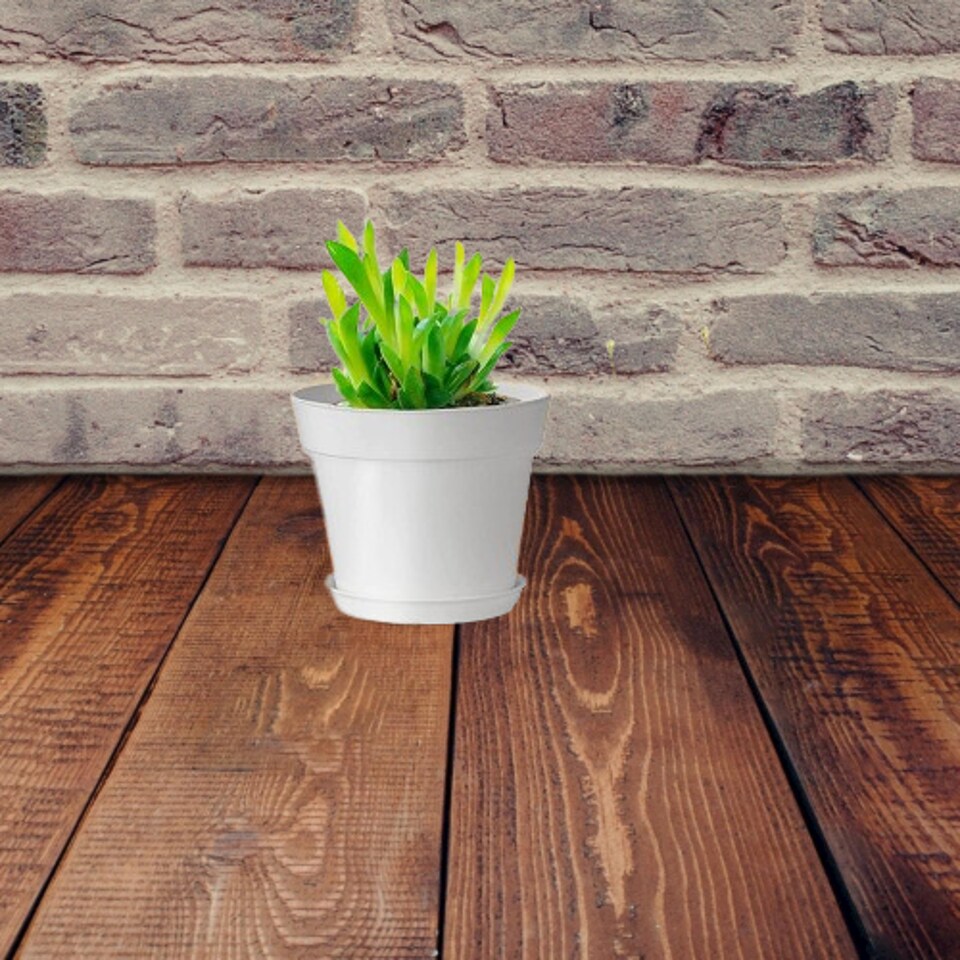 Plastic Flower Pots 10 Pack – White Planter Pots 3" & 5" Sizes for Plants, Seedlings, Crafts & Classroom Gardening Projects