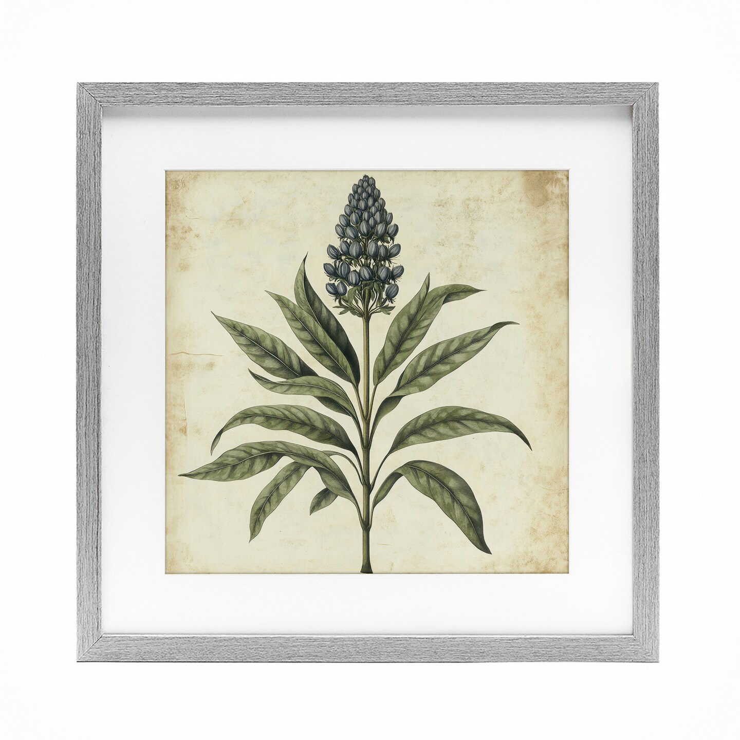 Stupell Industries Vintage Blue Botanical Illustration Framed Print Under Glass, design by Petal Prints Design