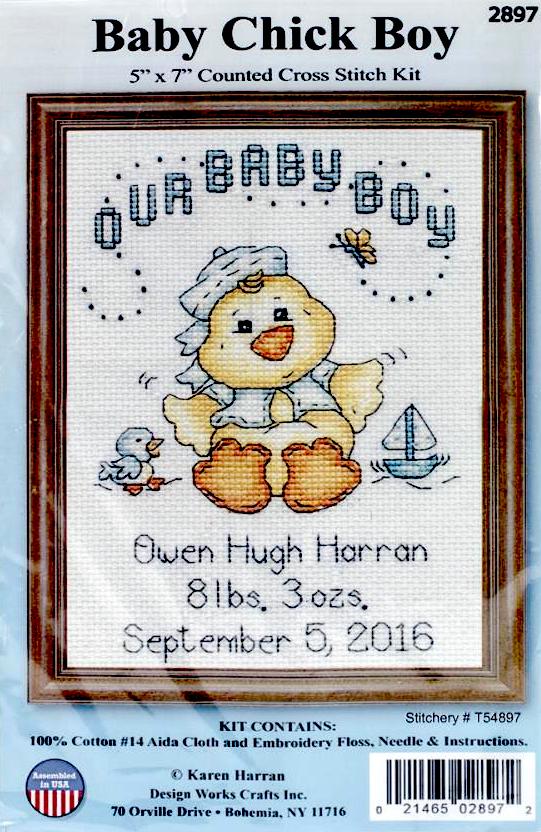 DIY Design Works Baby Chick Boy Birth Record Counted Cross Stitch Kit 5x7