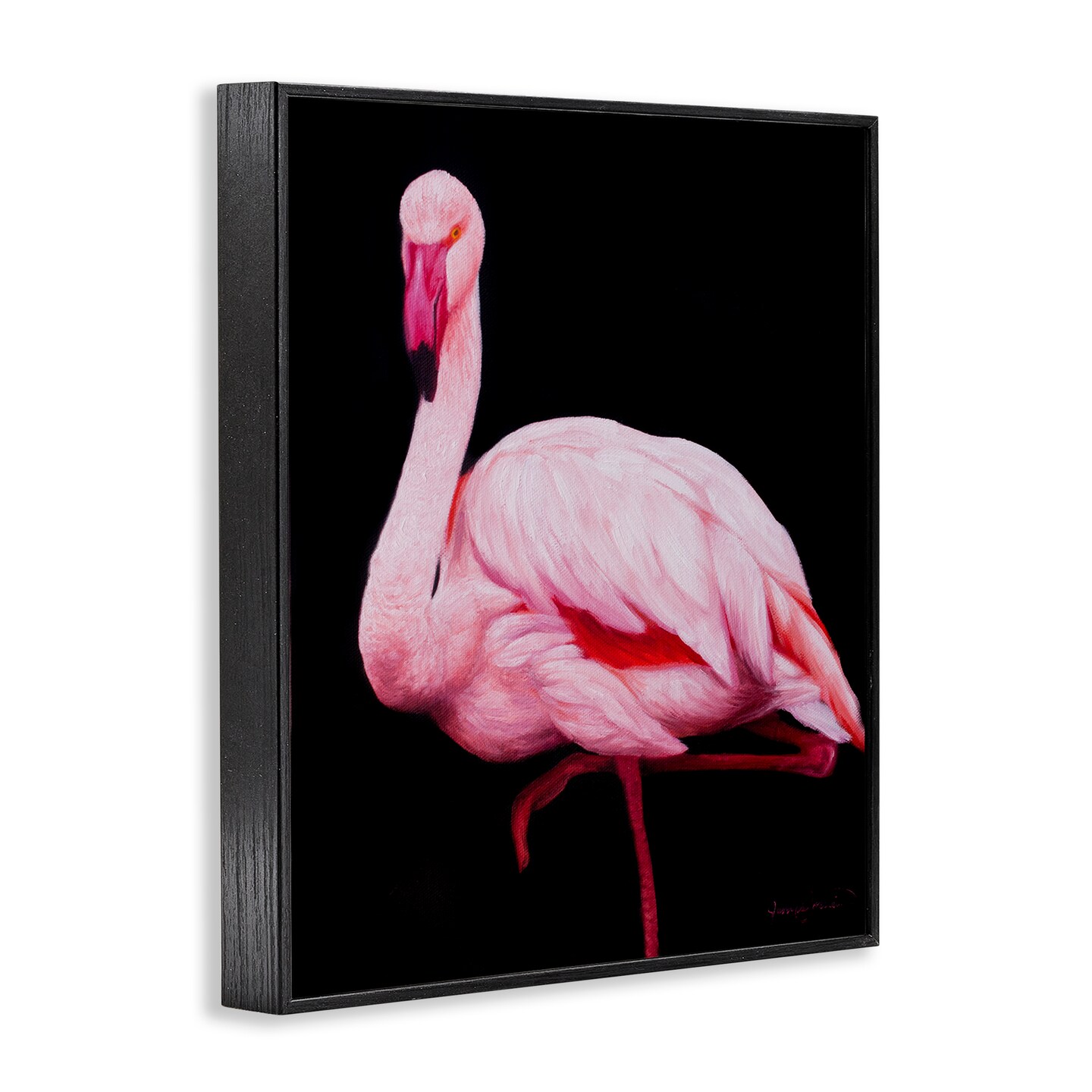 Stupell Industries Contrasting Flamingo on Black Framed Giclee, design by James Corwin