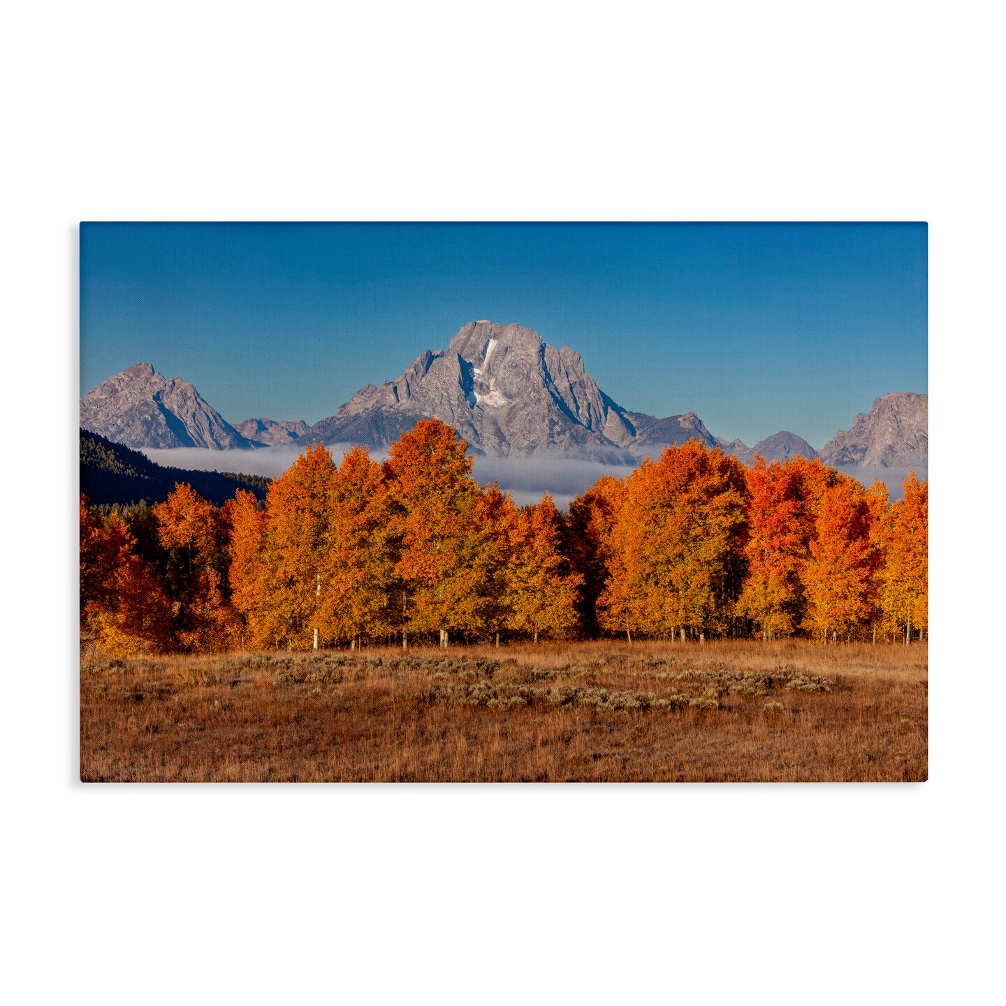 Stupell Industries Autumn Tree Line With Mountain Canvas, design by Shelley Carlisle