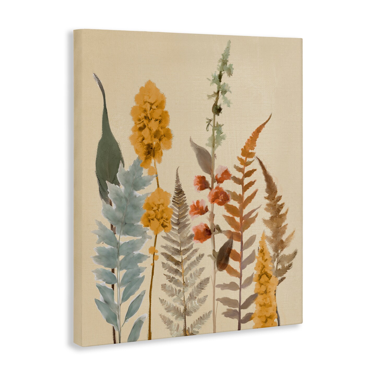 Stupell Industries Autumnal Wild Plants Canvas, design by Elizabeth Medley