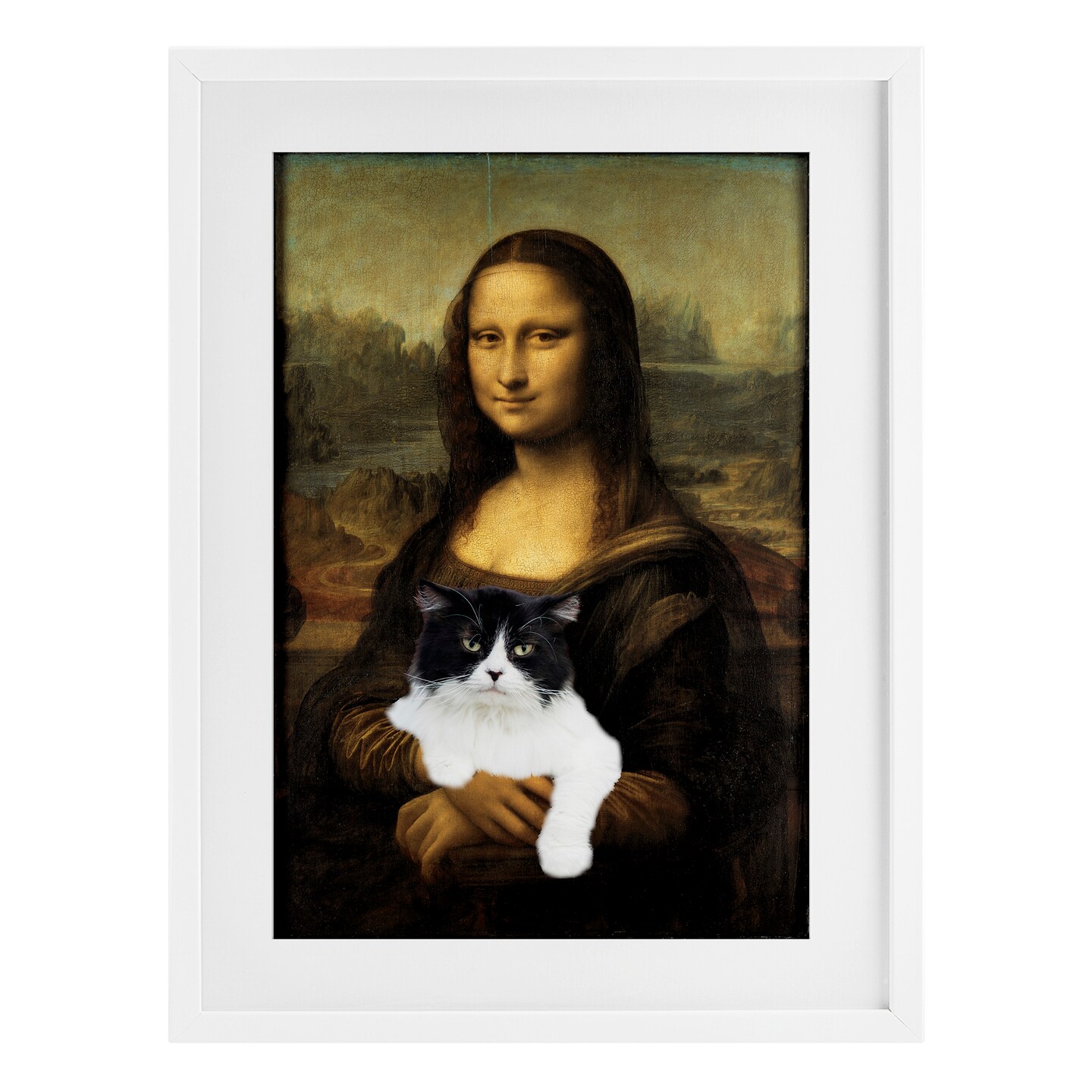 Stupell Industries Mona Lisa Cat Lady Framed Print Under Glass, design by Masters Redux