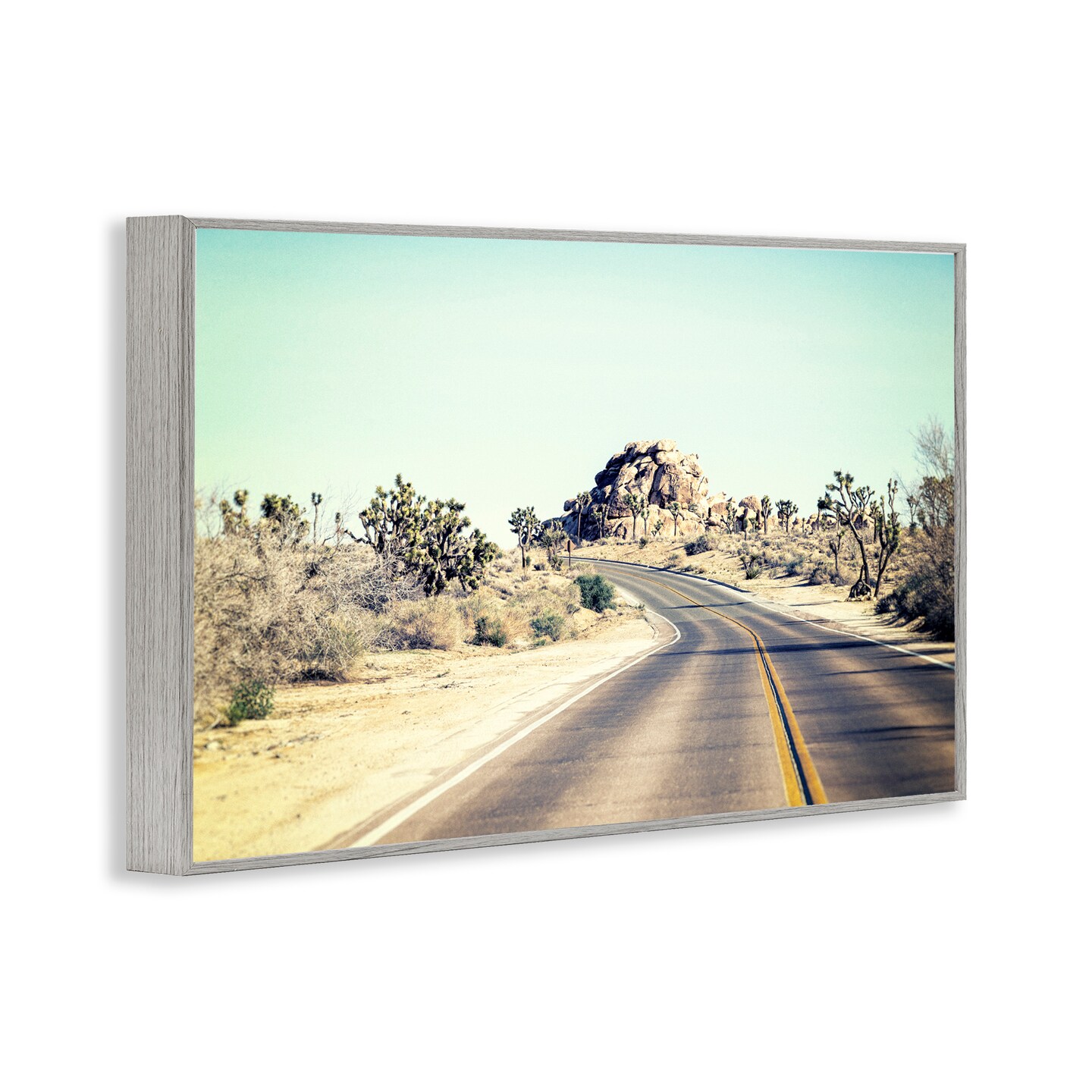 Stupell Industries Road Trip Joshua Tree Park Framed Giclee, design by Joseph S Giacalone