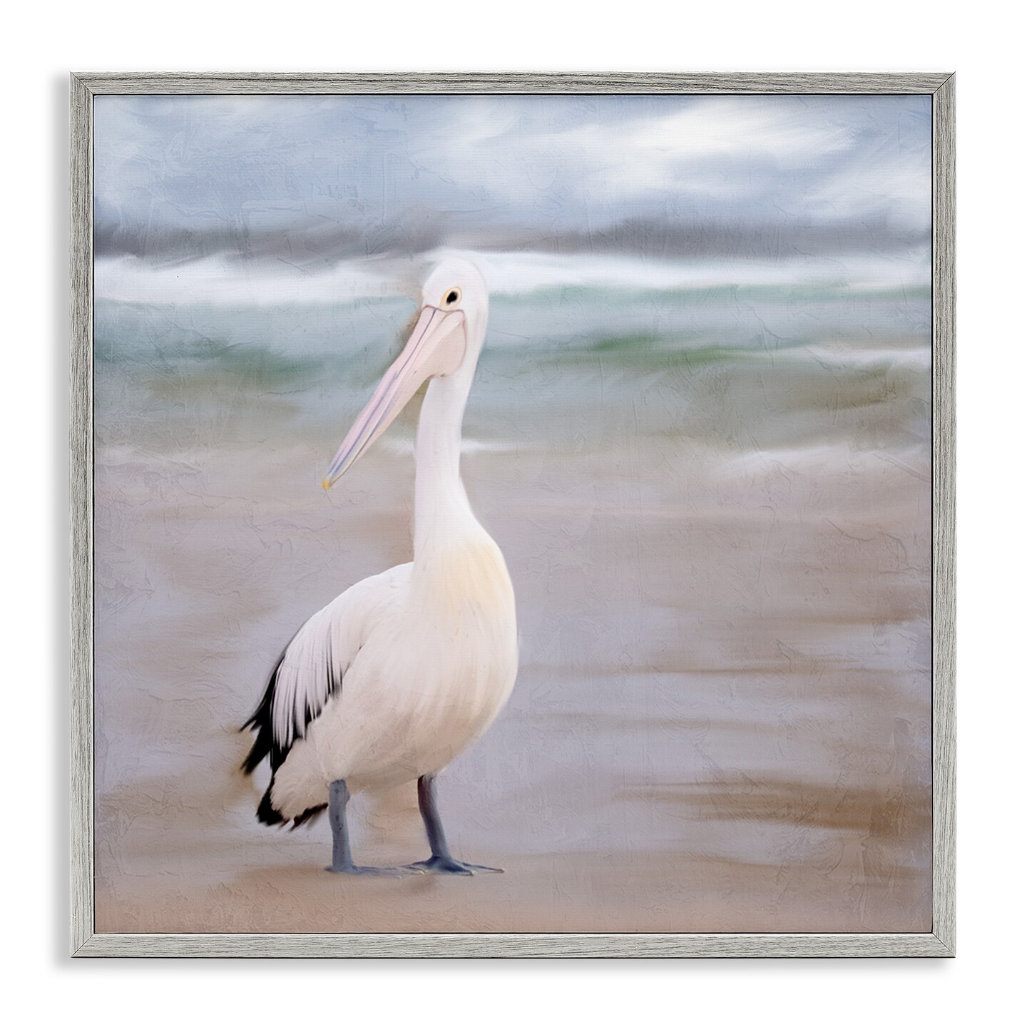 Stupell Industries Pelican Walk Bird Portrait Framed Giclee By Kim ...