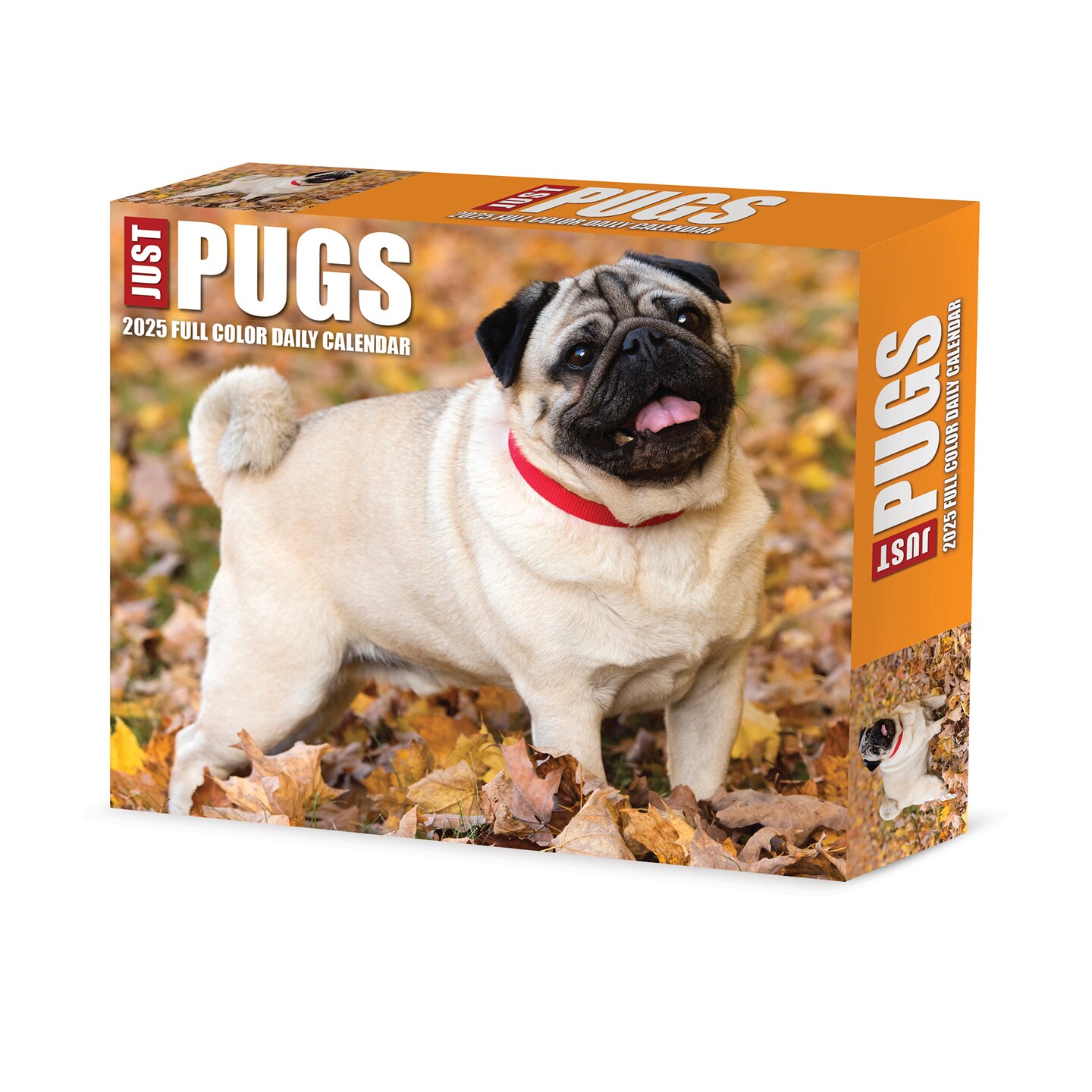 Just Pugs 2025 Box Calendar - Dog Breed Daily Desktop