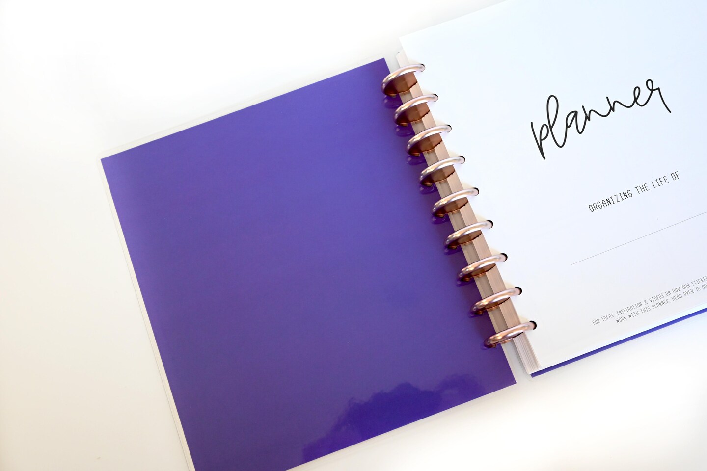 2025 Planner - Signature Layout, Disc Bound - &#x22;Purple Hydrangea&#x22; (#812)
