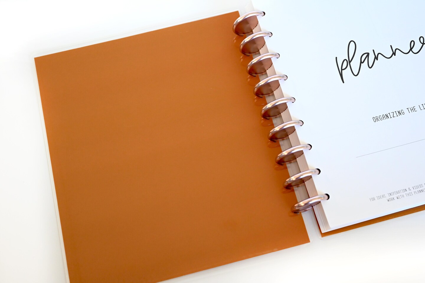 2025 Planner - Horizontal Layout, Disc Bound - &#x22;Golden Leaves&#x22; (#707)