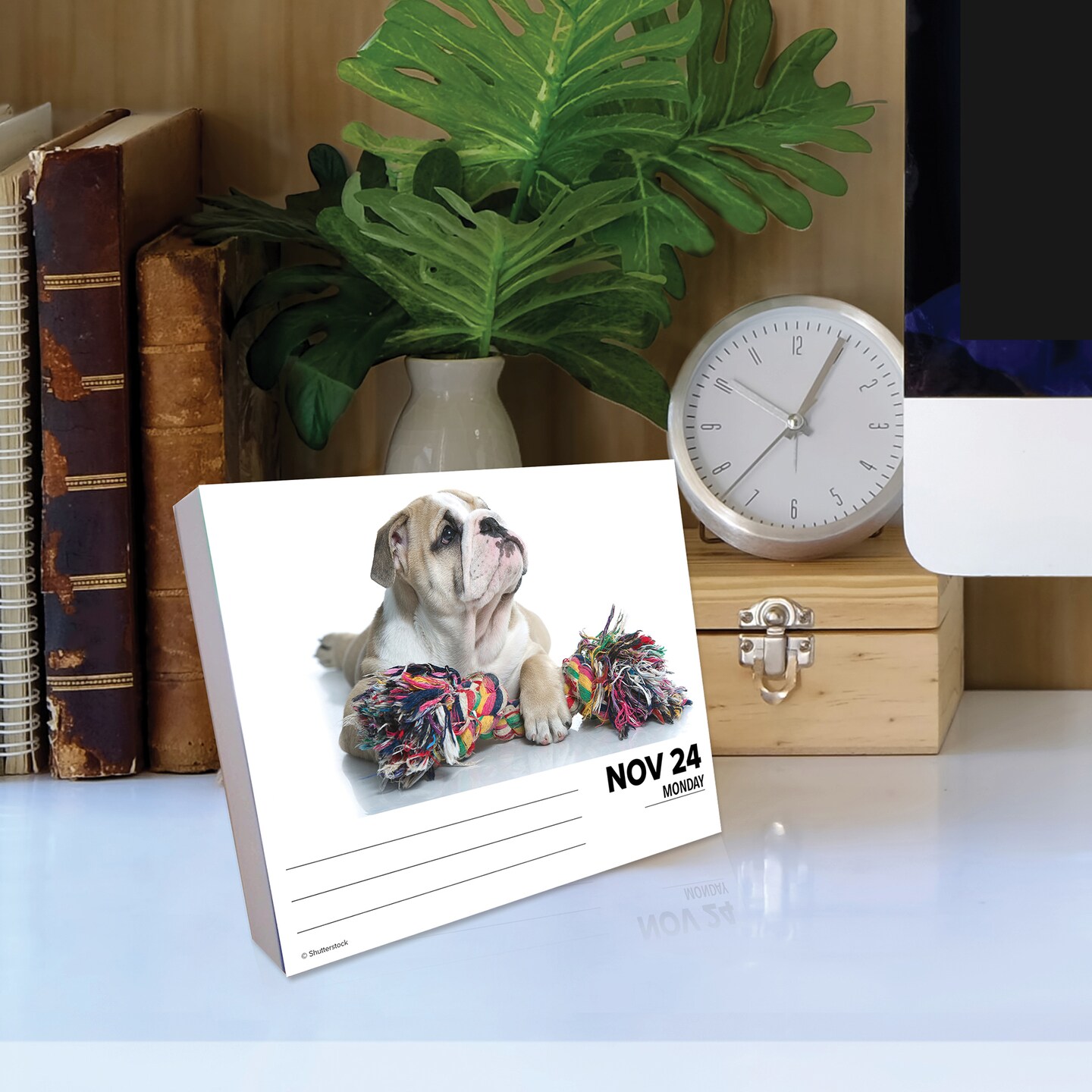 Just Bulldogs 2025 Box Calendar - Dog Breed Daily Desktop