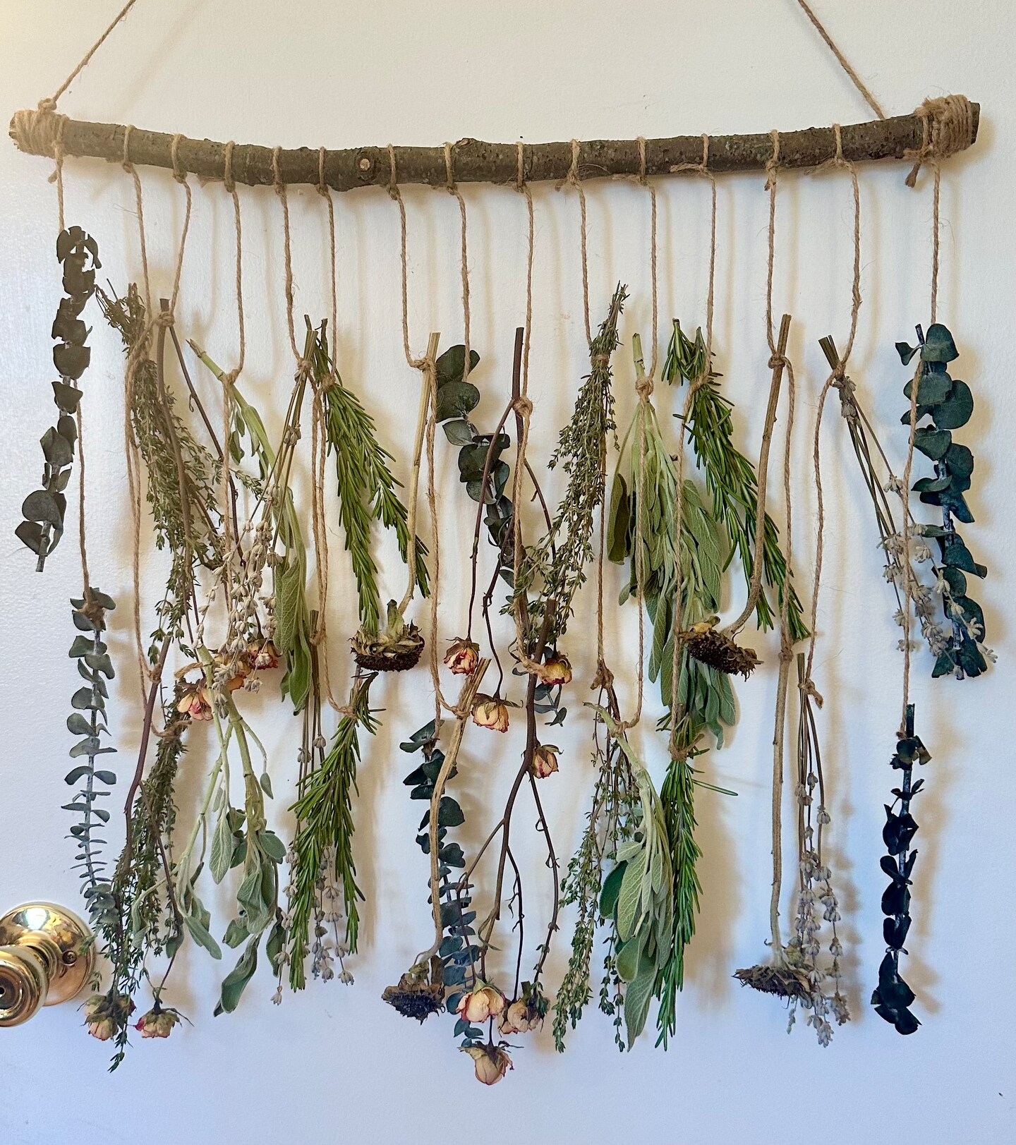 Hanging Herbs and Flowers | MakerPlace by Michaels