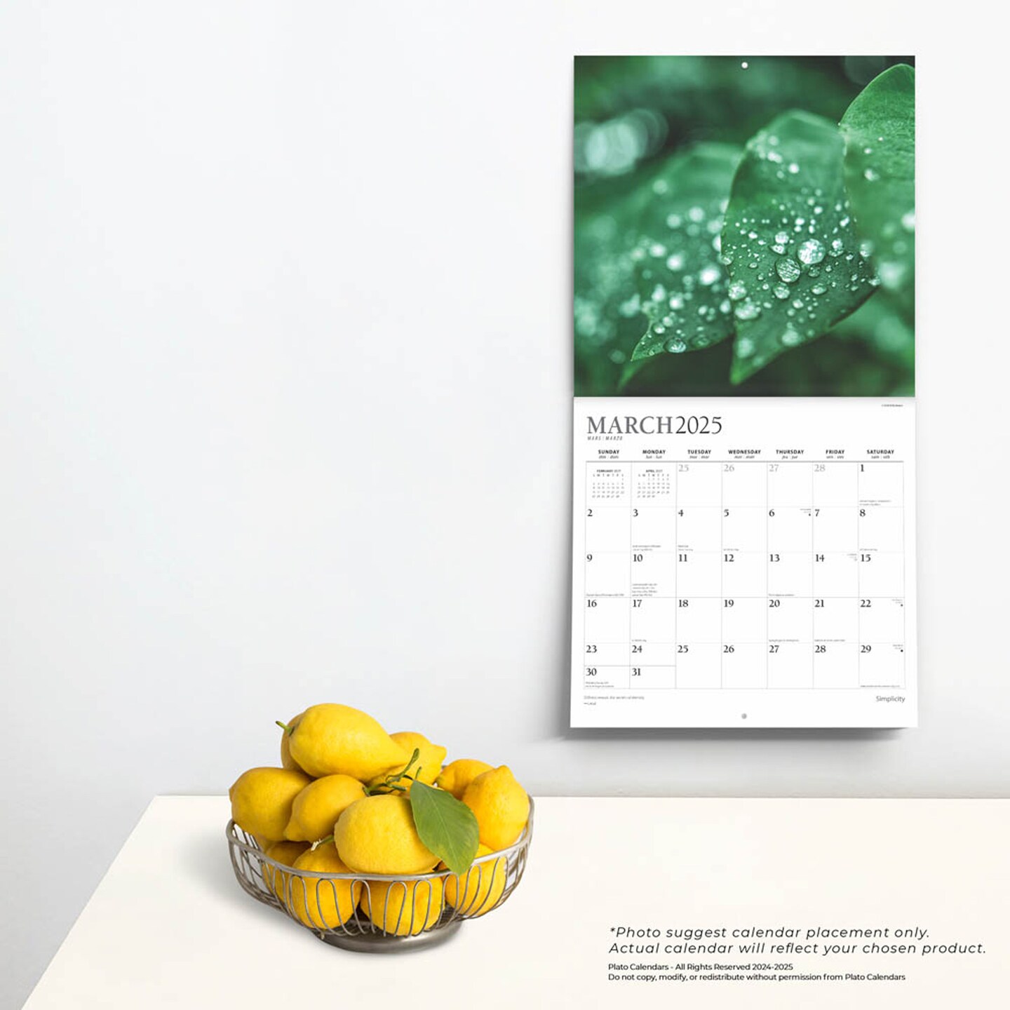 Simplicity | 2025 12 x 24 Inch Monthly Square Wall Calendar | Foil Stamped Cover | Plato | Inspiration Photography 
