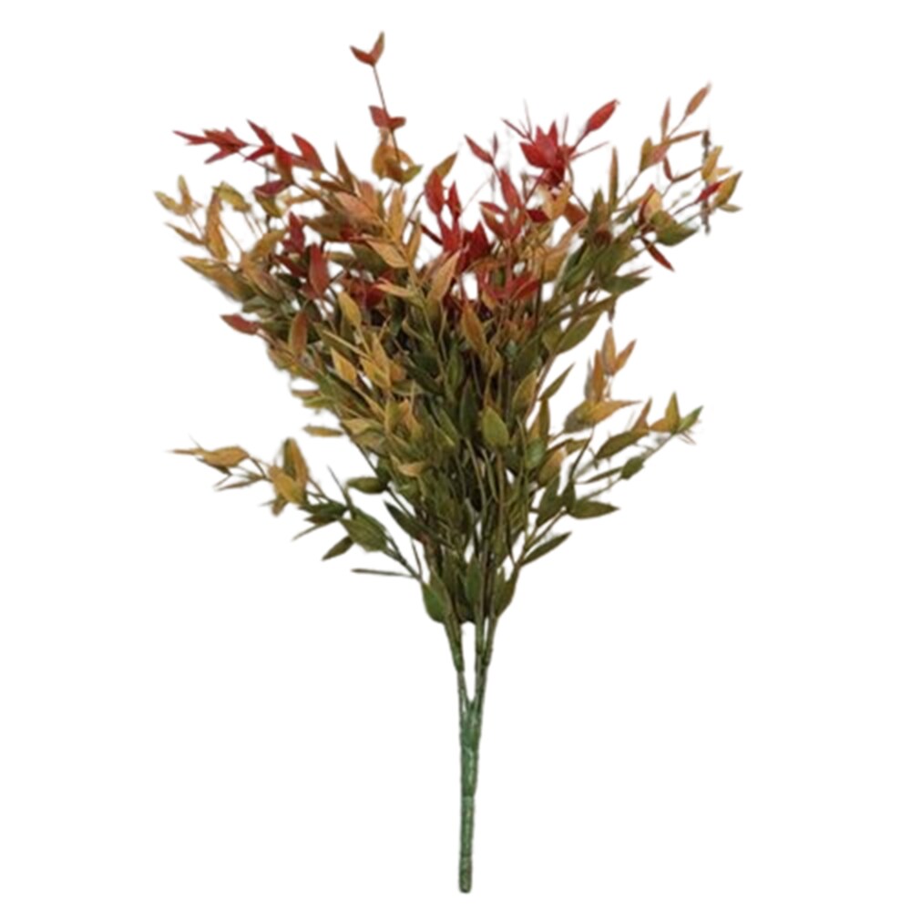 14&#x22; Velvet Ash Bush with Autumnal Mix of Red, Gold, and Green Leaves