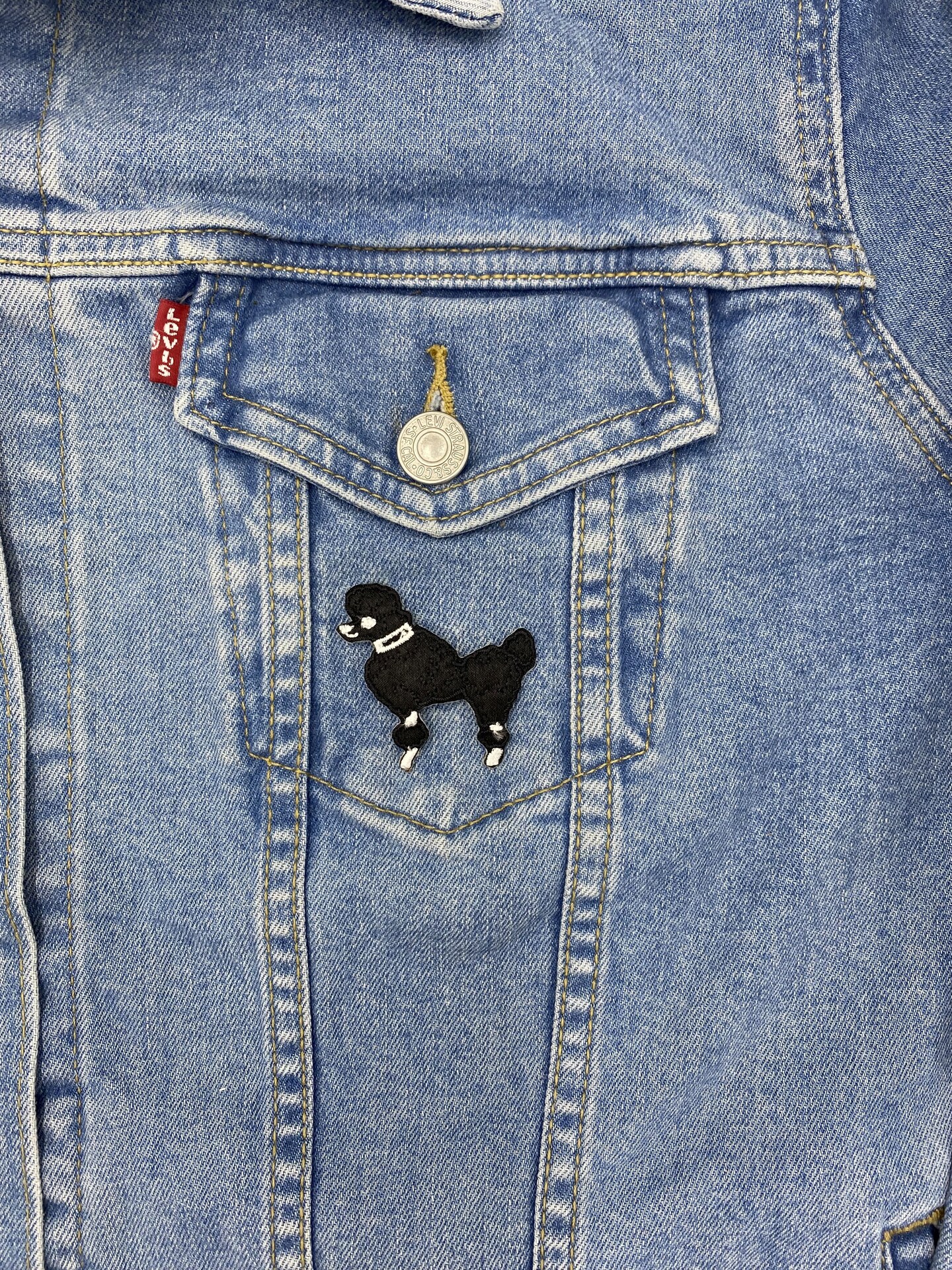Mini Black Poodle, Dogs, Embroidered, Iron on Patch