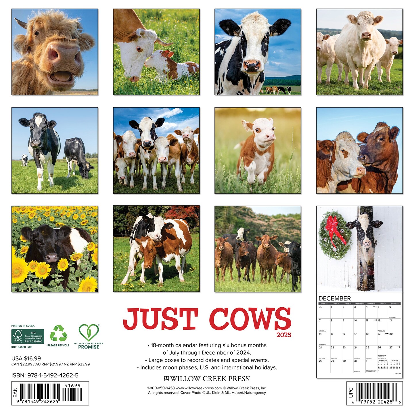 Cows 2025 Wall Calendar