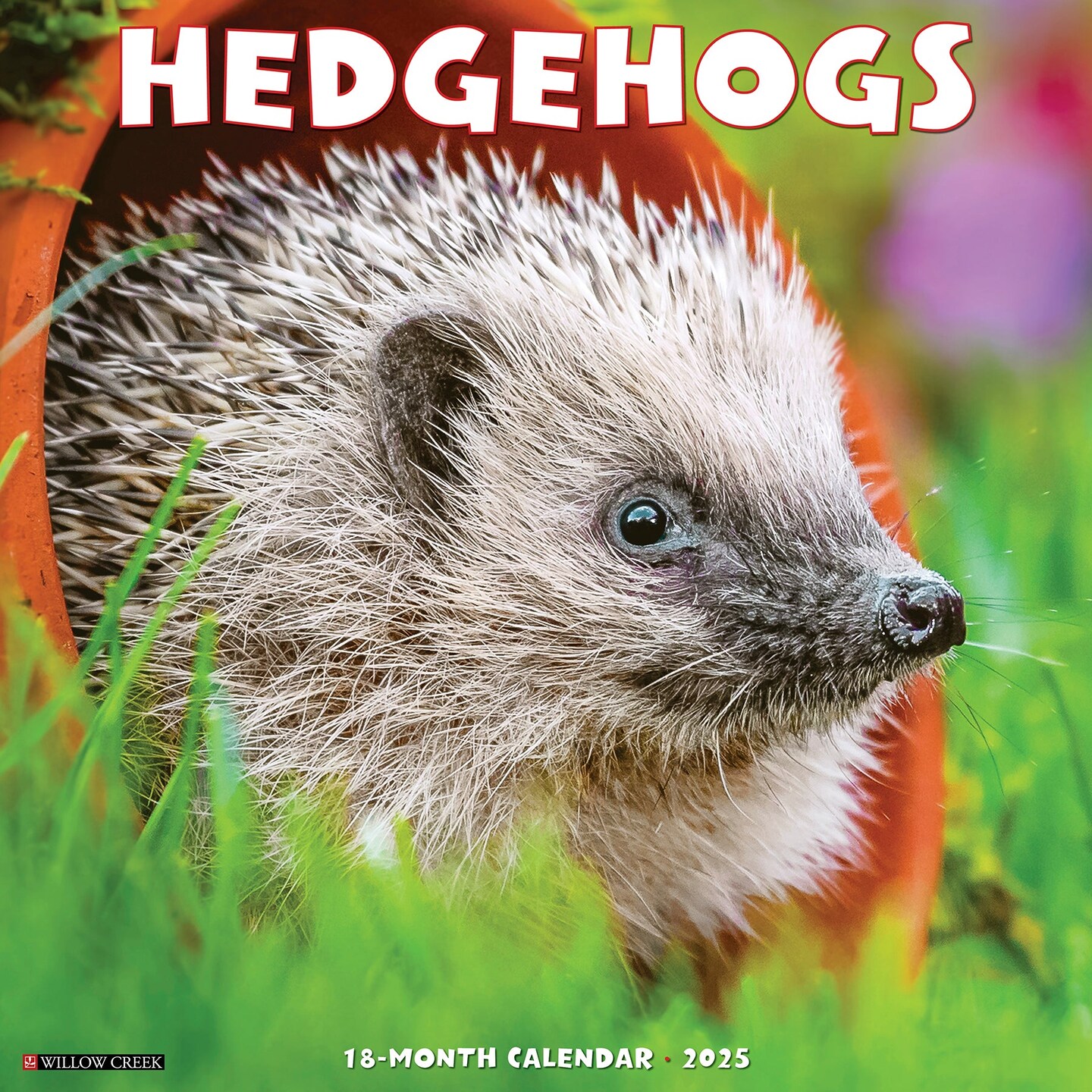 Hedgehogs 2025 Wall Calendar