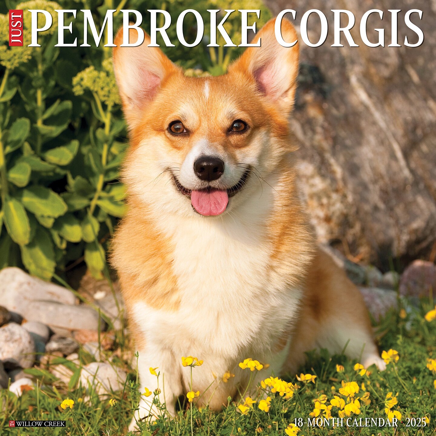 Pembroke Corgis 2025 Wall Calendar