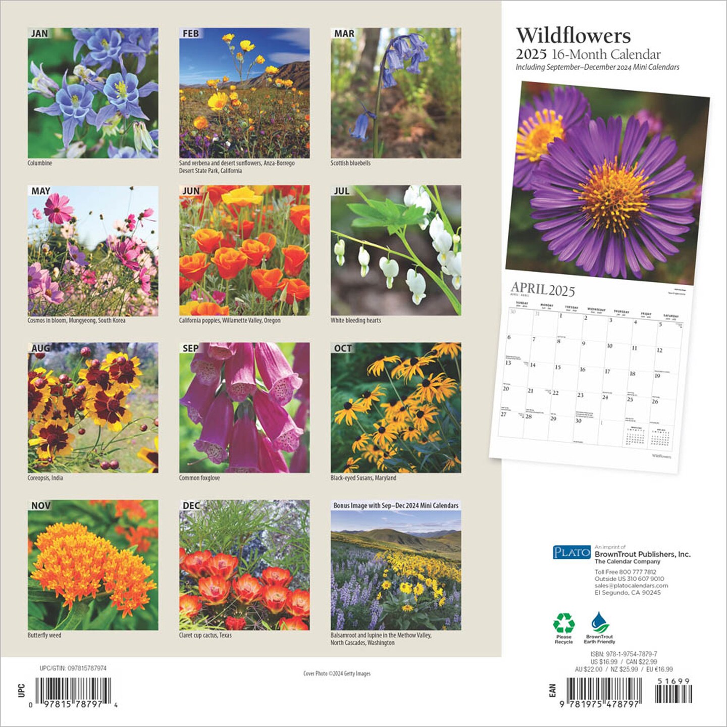 Wildflowers | 2025 12 x 24 Inch Monthly Square Wall Calendar | Foil Stamped Cover | Plato | Outdoor Plant Floral