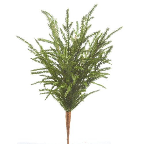 18&#x22; Soft Touch Norfolk Pine Pick