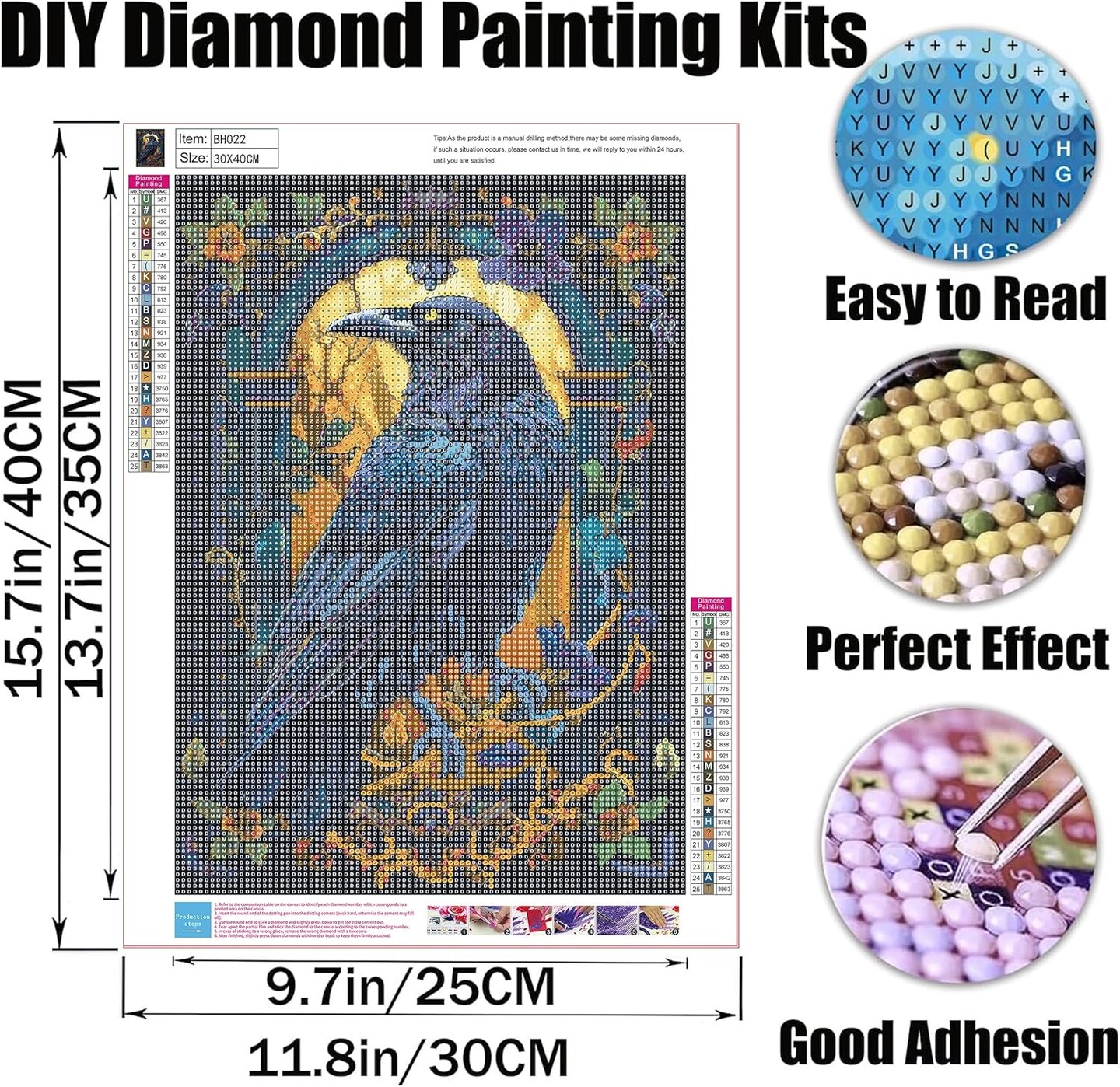 Crow Diamond Painting Kits for Adults, Raven DIY 5D Diamond Art Kits Full Drill Diamond Dots Paintings with Diamonds Gem Art and Crafts Home Decor 12x16inch