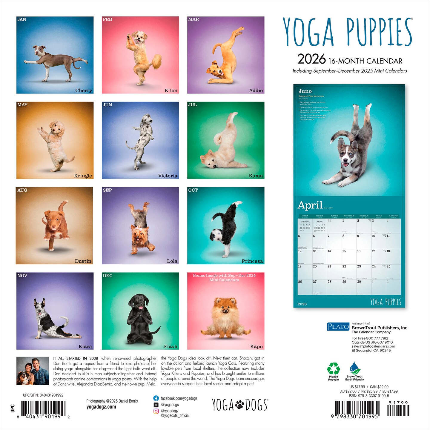 Yoga Puppies OFFICIAL | 2026 12 x 24 Inch (Hanging) Monthly Square Wall Calendar