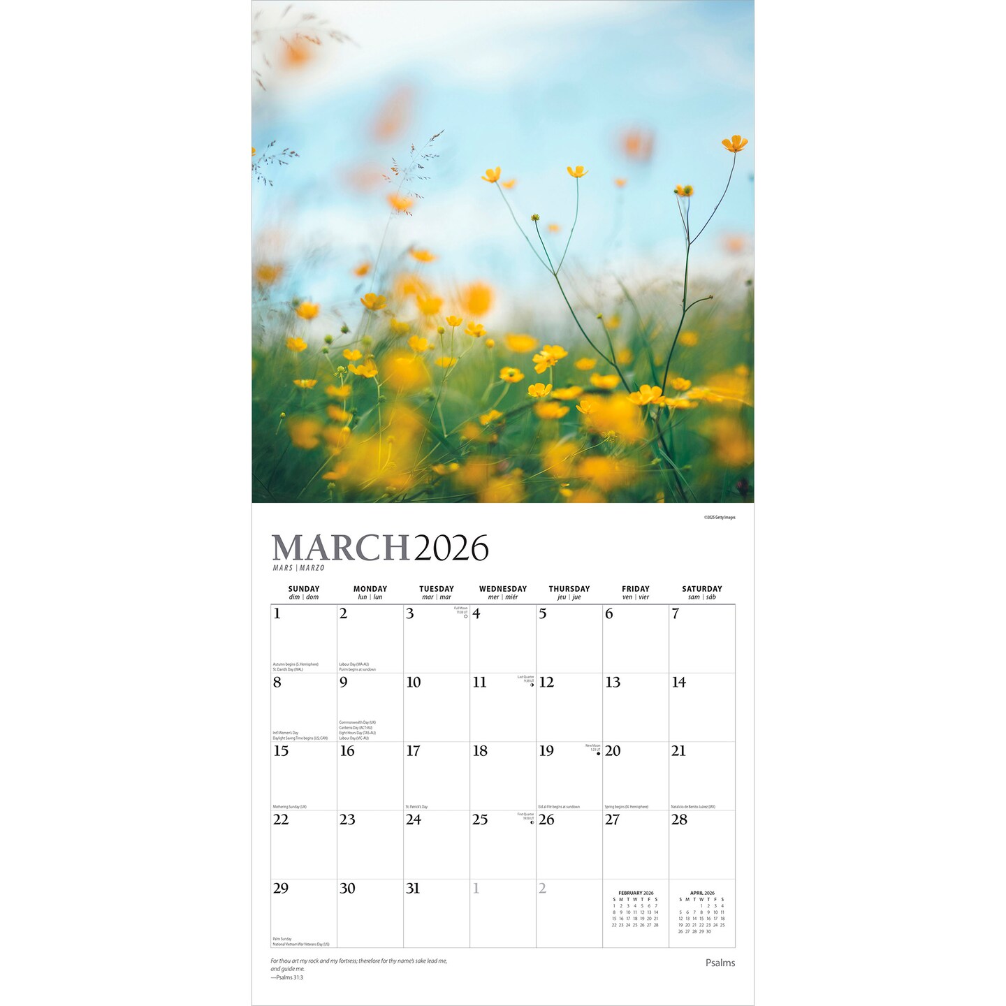 Psalms | 2026 12 x 24 Inch (Hanging) Monthly Square Wall Calendar | Foil Stamped Cover