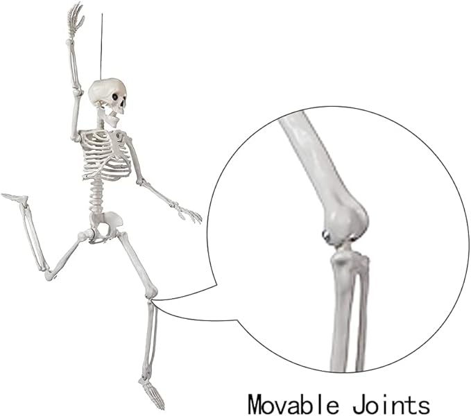 2 Pack 24 Inches Halloween Skeleton, Light Up Glowing Red LED Eyes Pose-N-Stay Skeleton, Full Body Posable Movable Jonints for Halloween Decoration