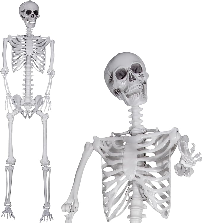7.9ft/240cm Halloween Skeleton Full Body Outdoor Yard Skeleton with Movable Joints Realistic Poseable Human Bones Skeleton for Halloween Lawn Party Prop (7.9ft)