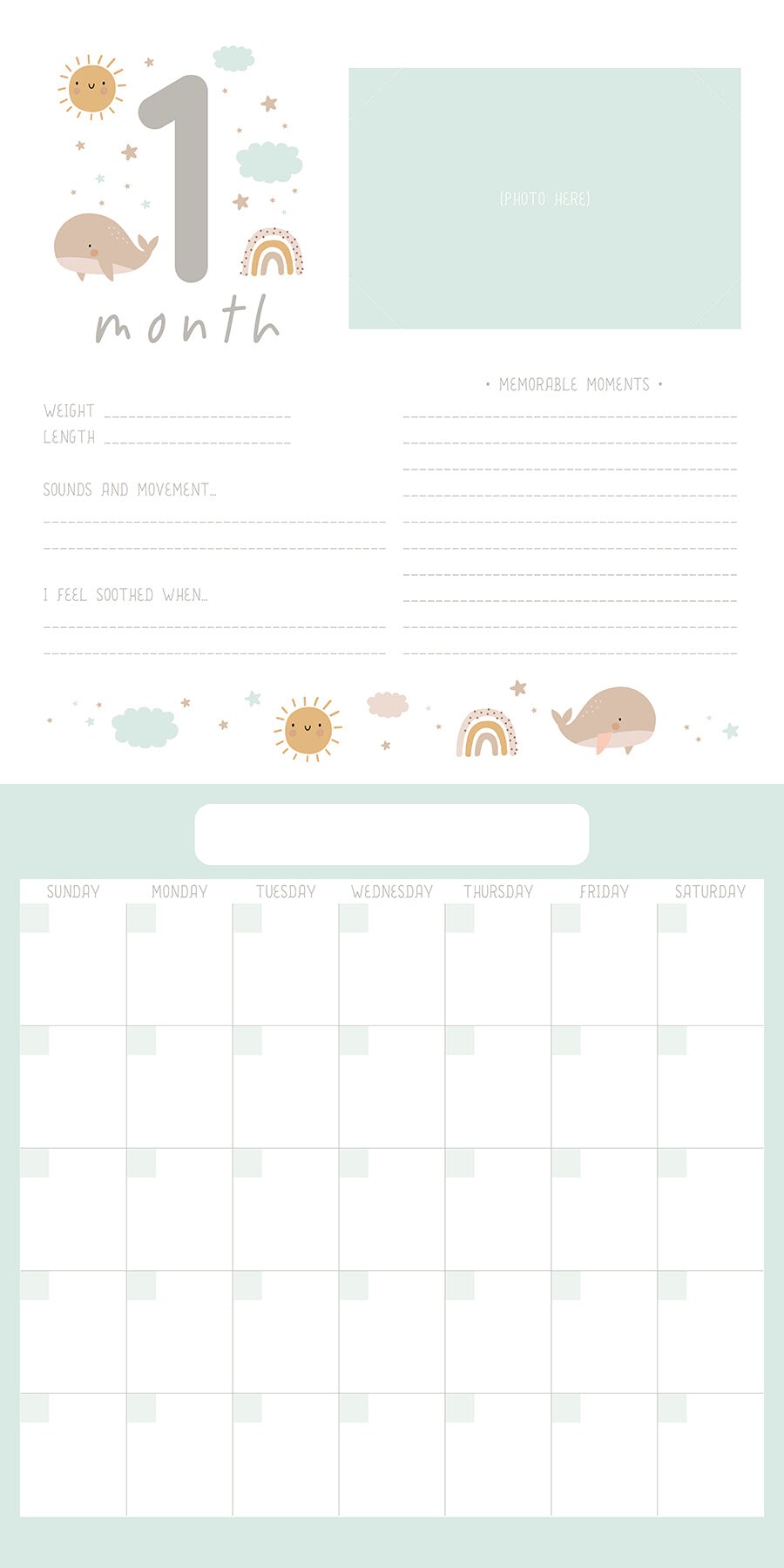 Baby&#x27;s First Year Undated Monthly Wall Calendar